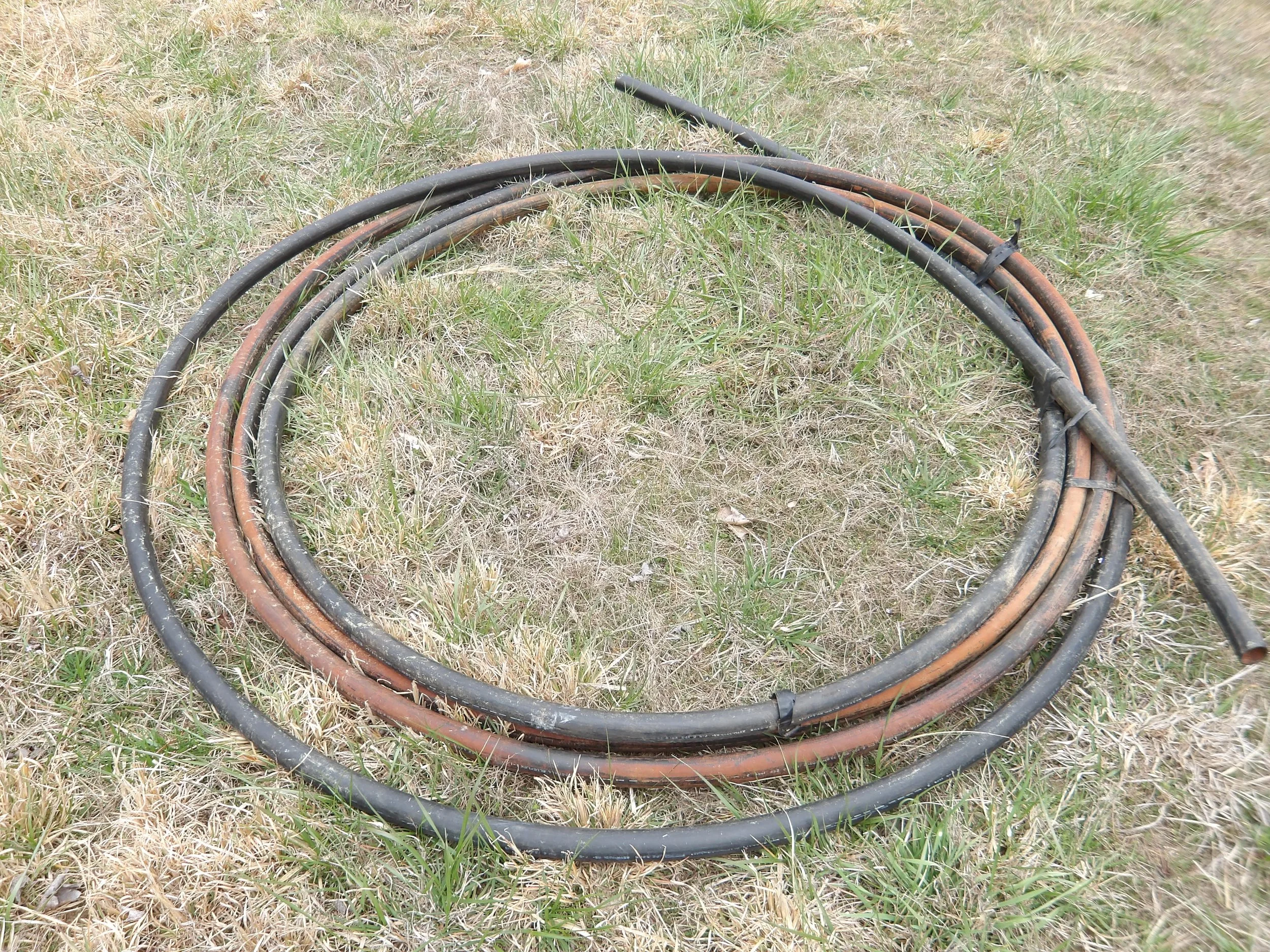 IMGP0073.JPG