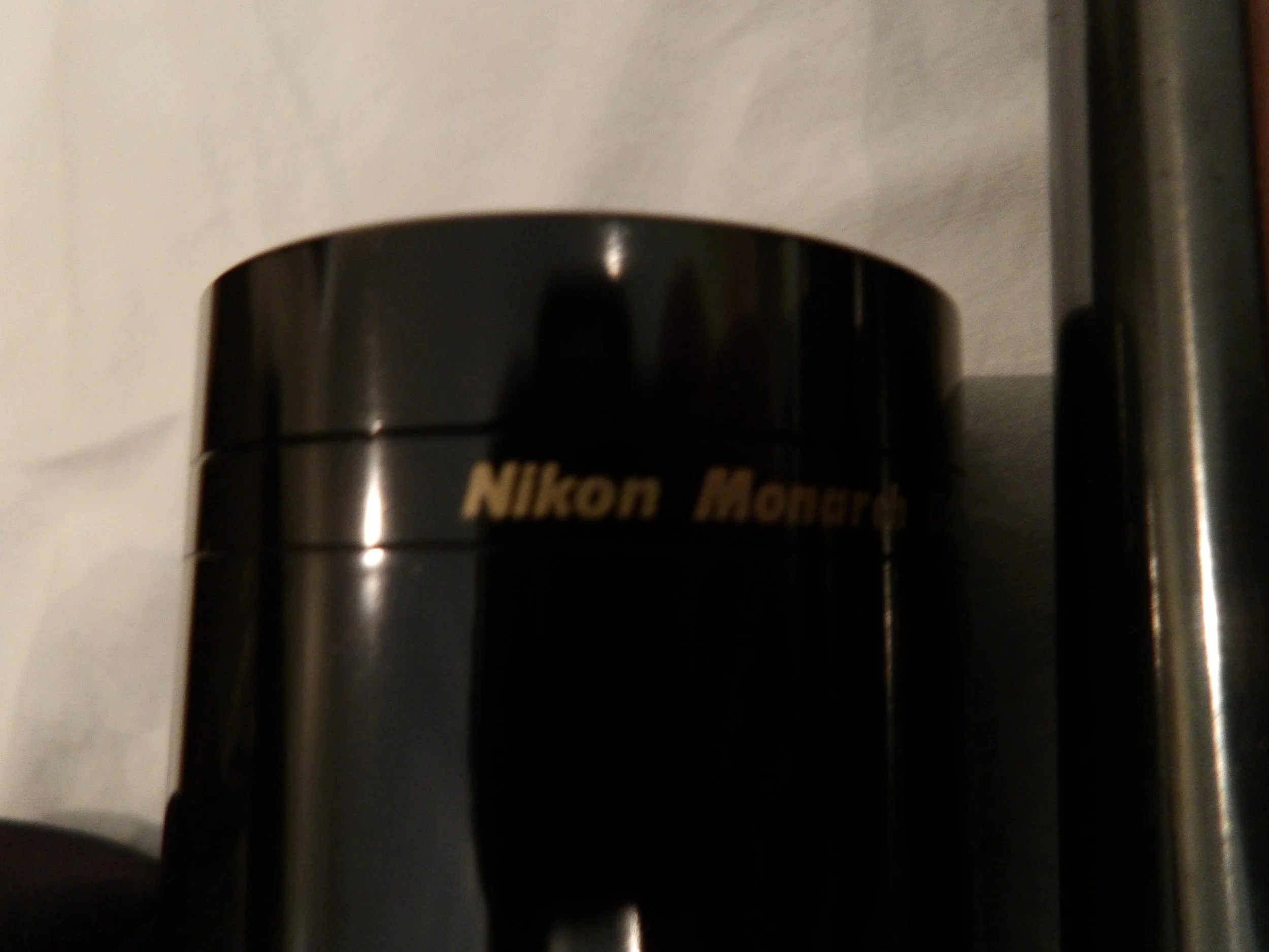IMGP0126.JPG