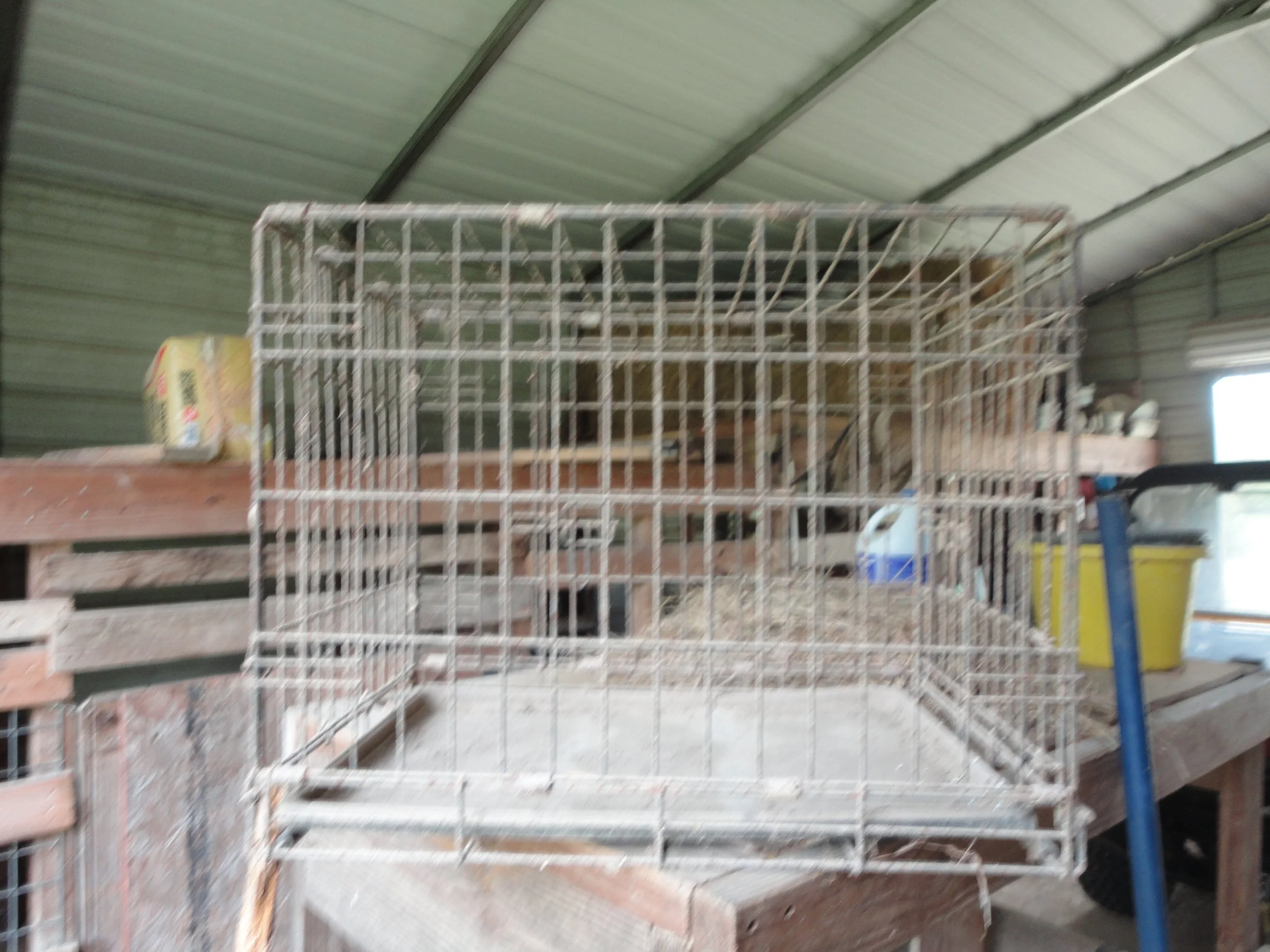 auction photos 025.JPG