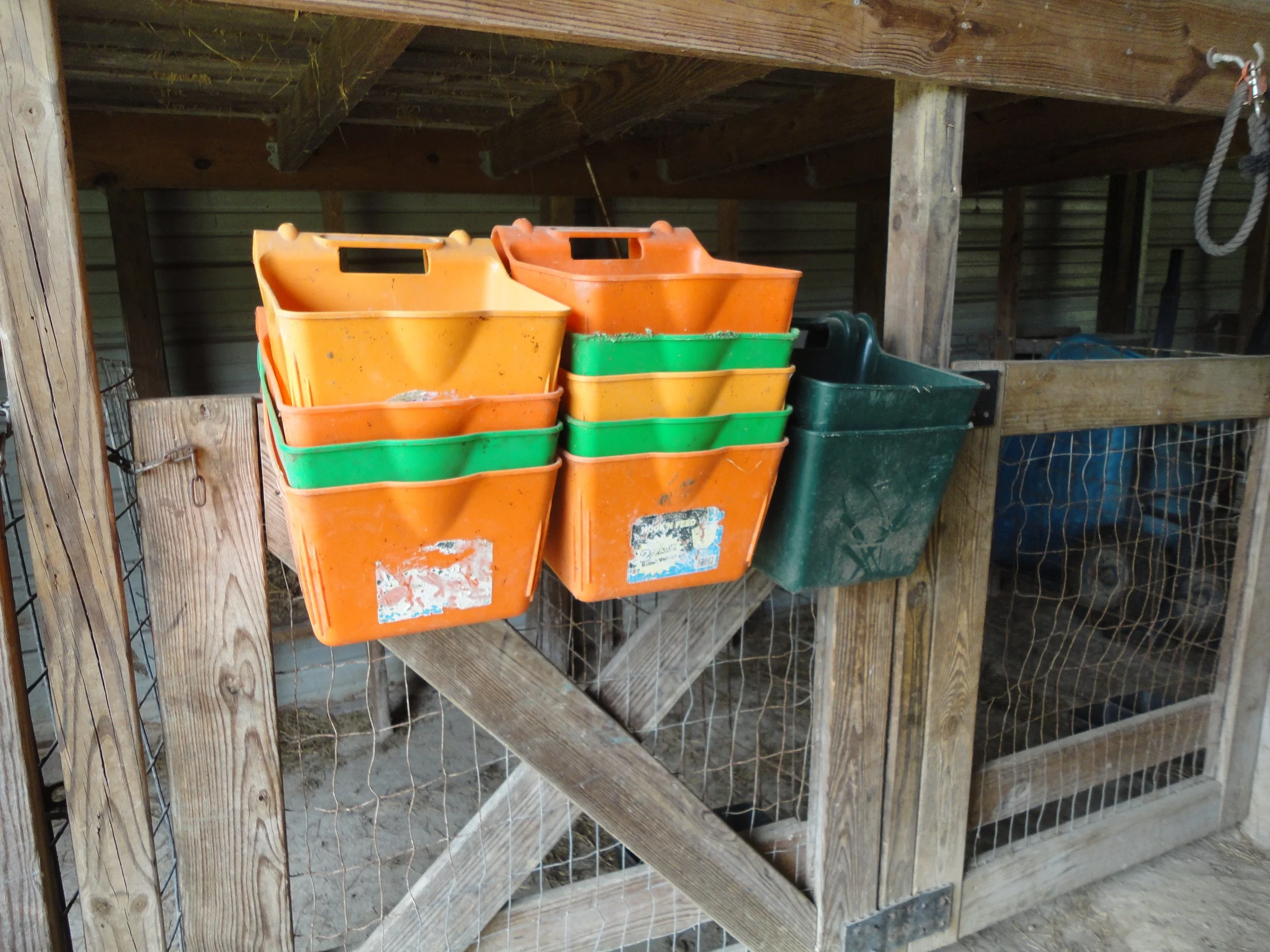 auction photos 026.JPG