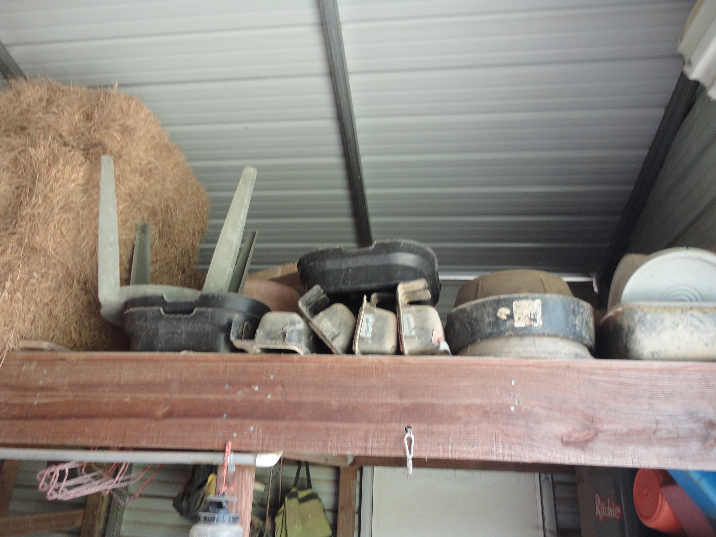 auction photos 027.JPG