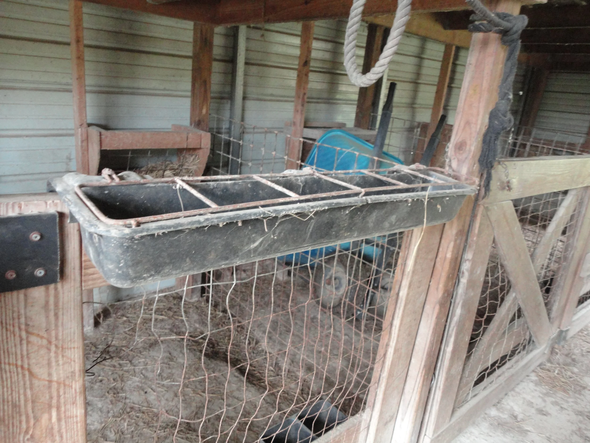 auction photos 028.JPG