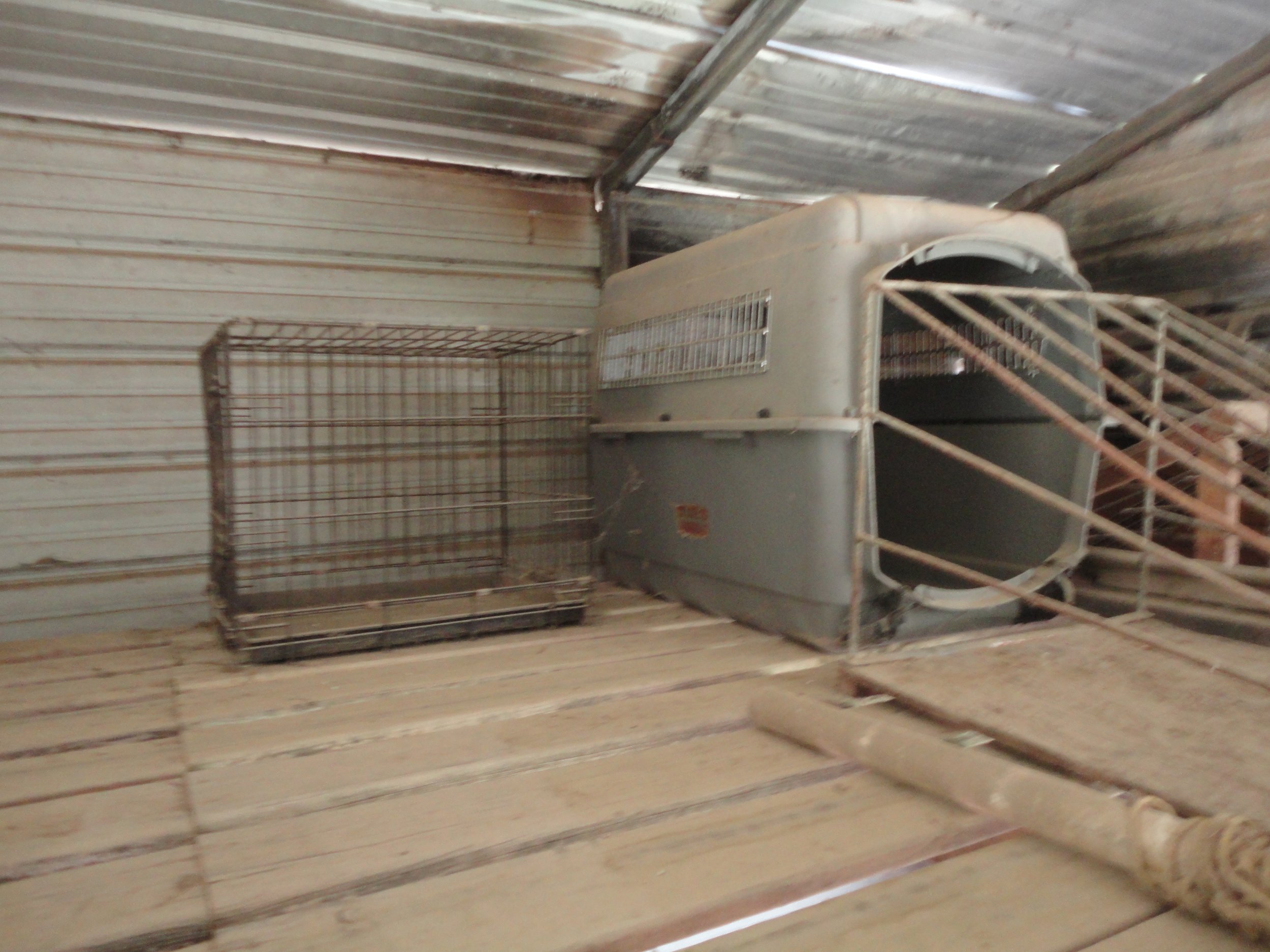 auction photos 029.JPG