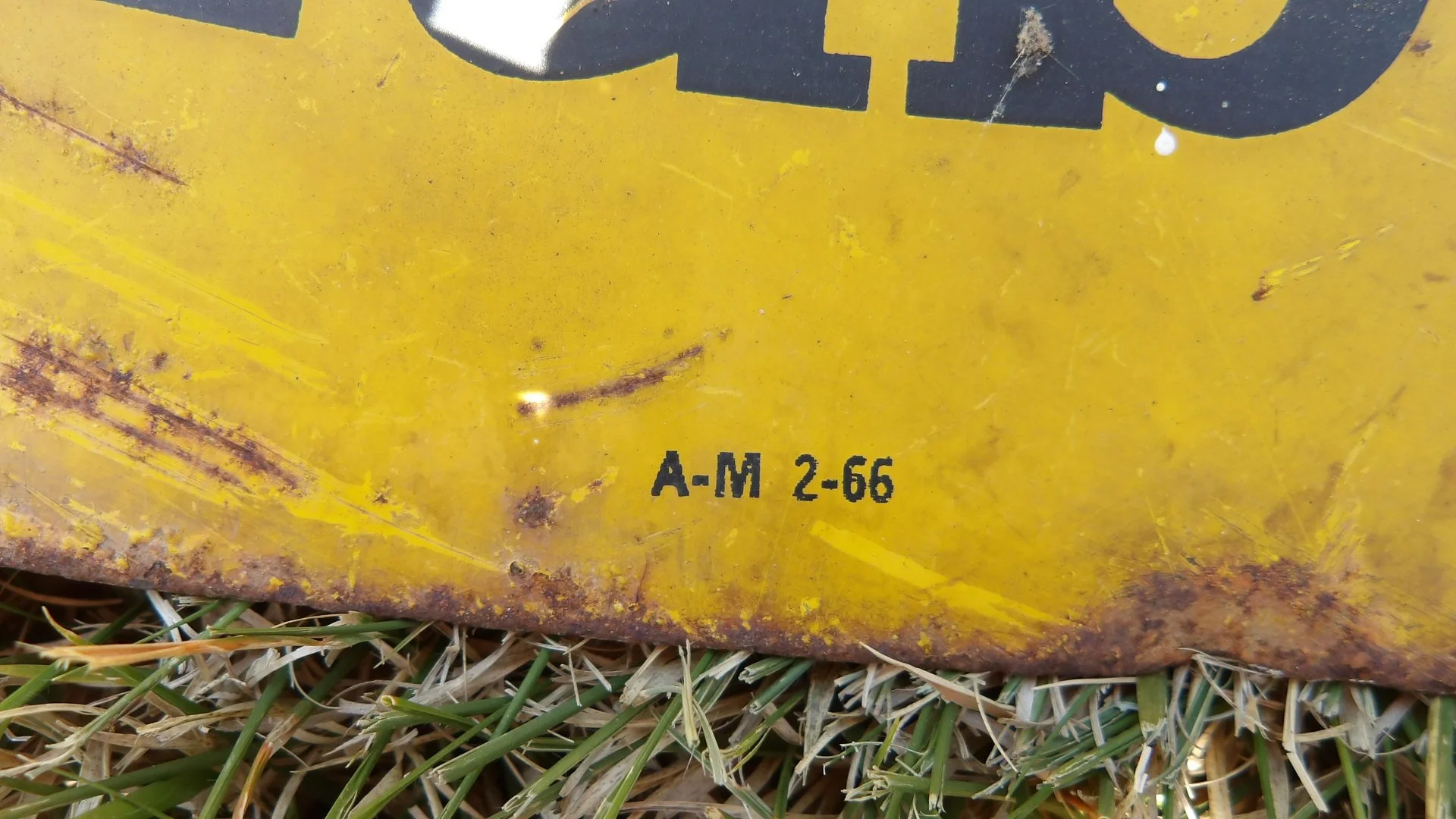 IMGP1398.JPG