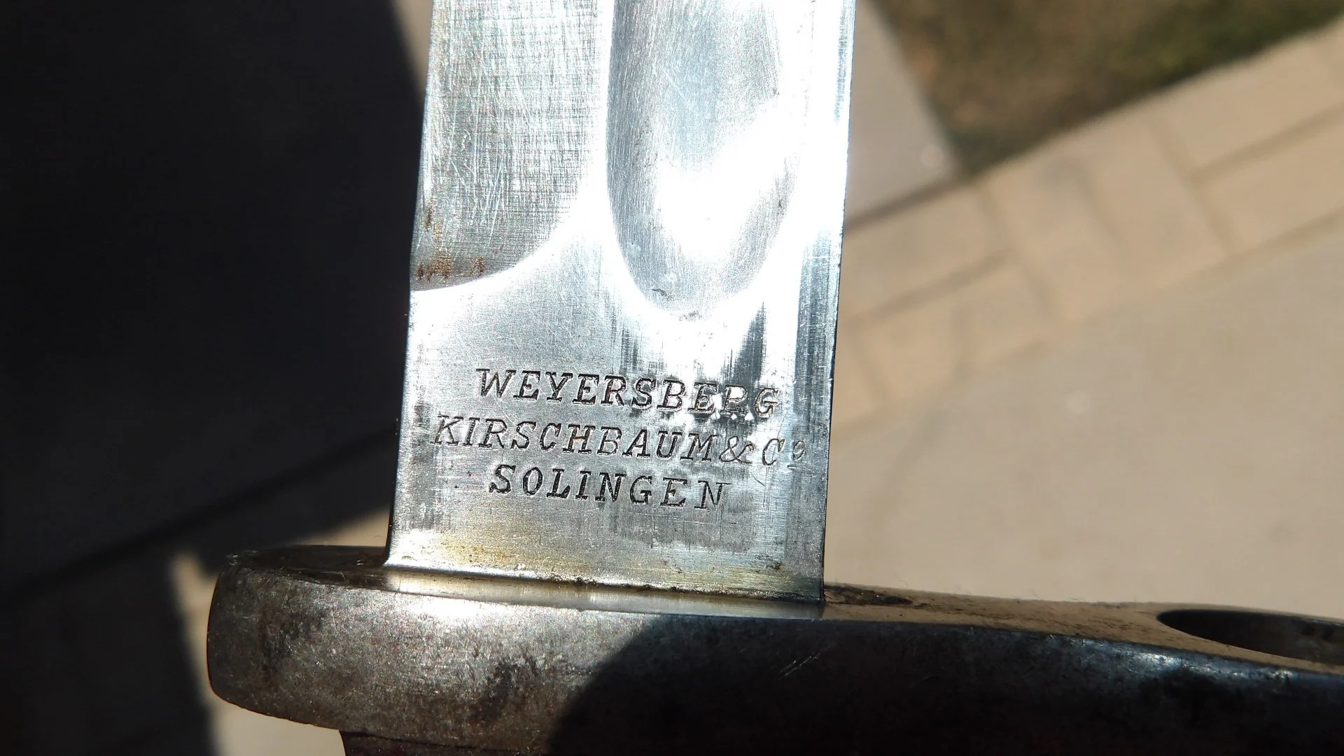 IMGP1459.JPG