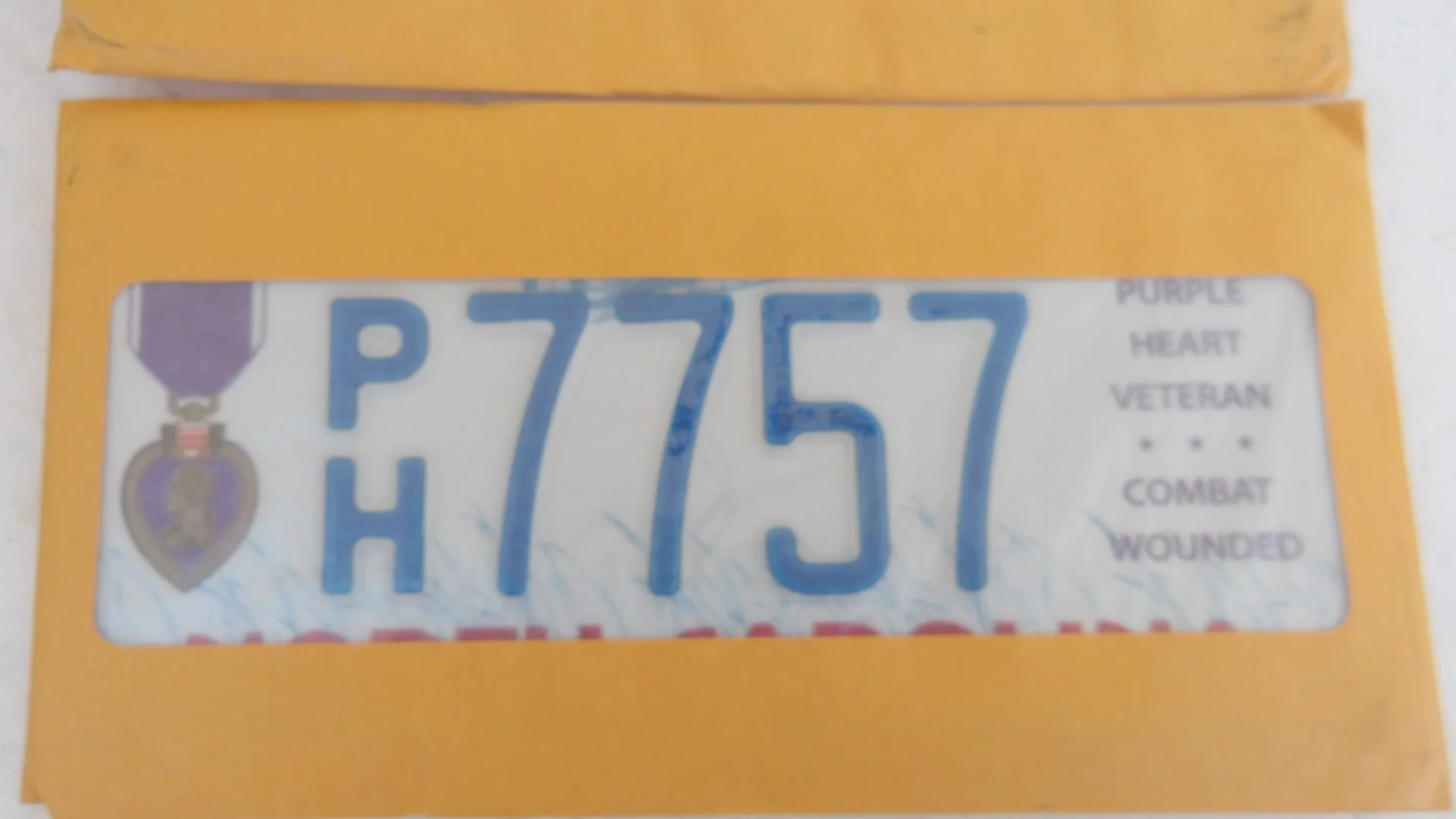 IMGP1498.JPG