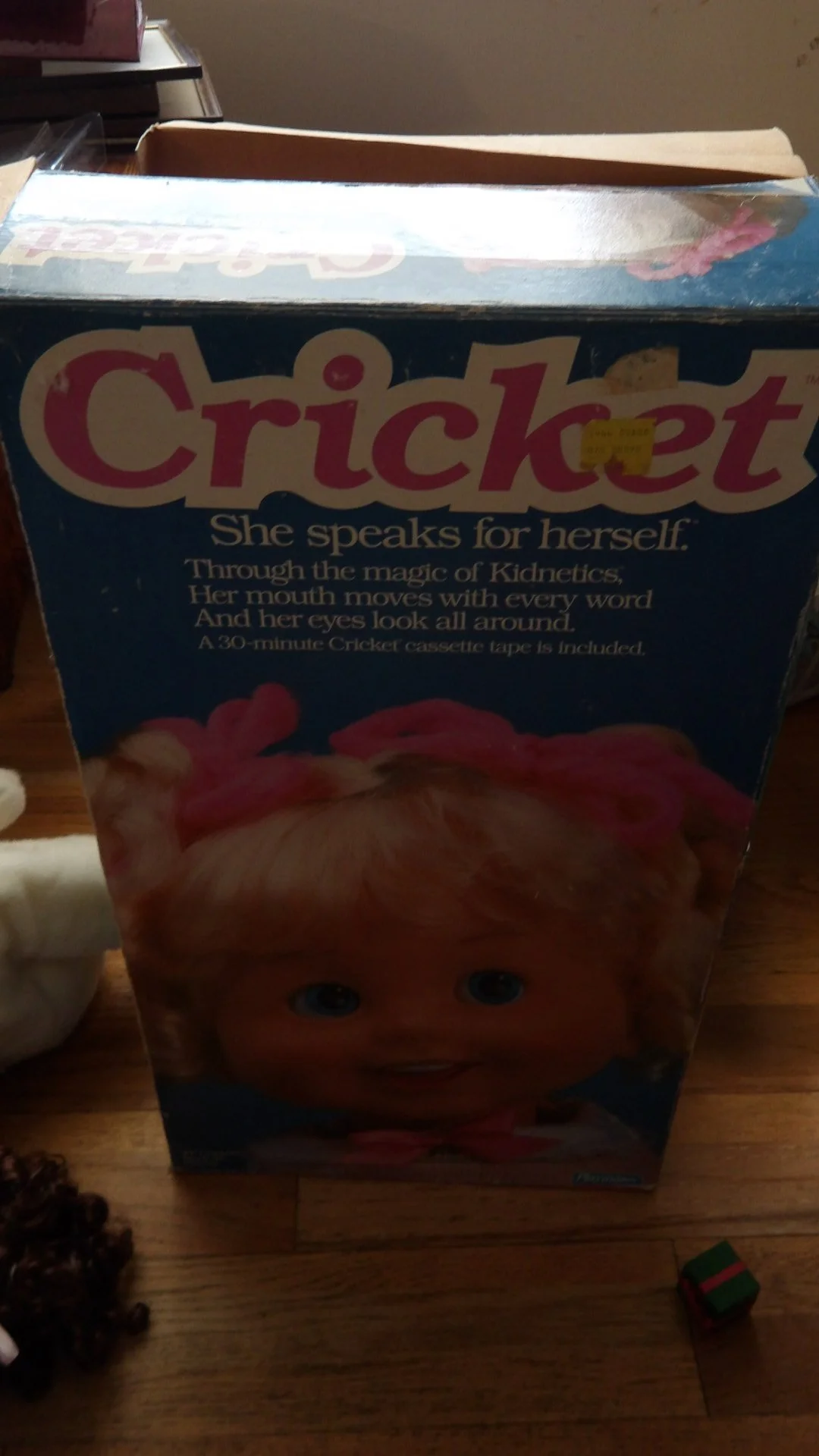 IMGP1714.JPG