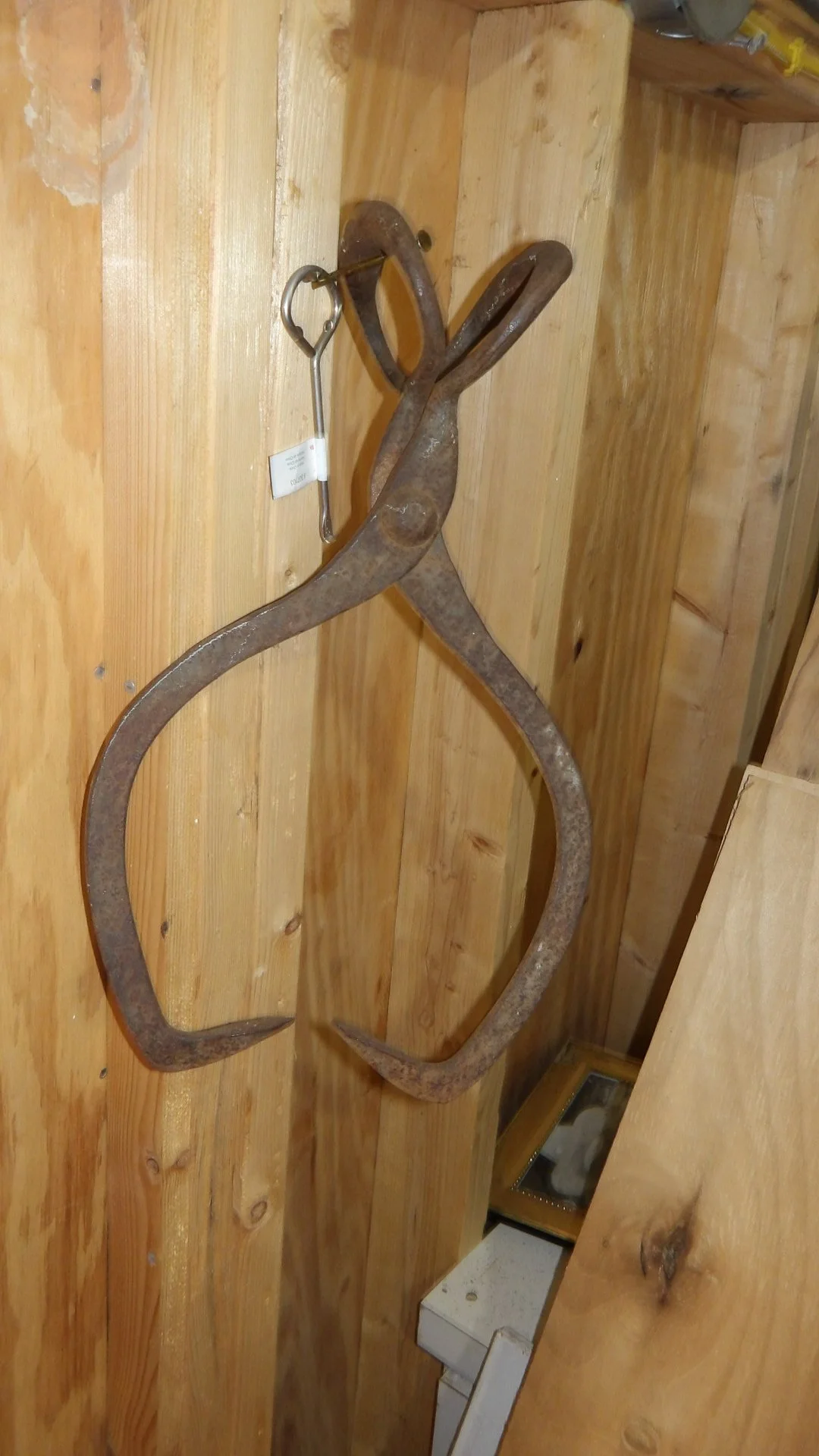 IMGP1785.JPG