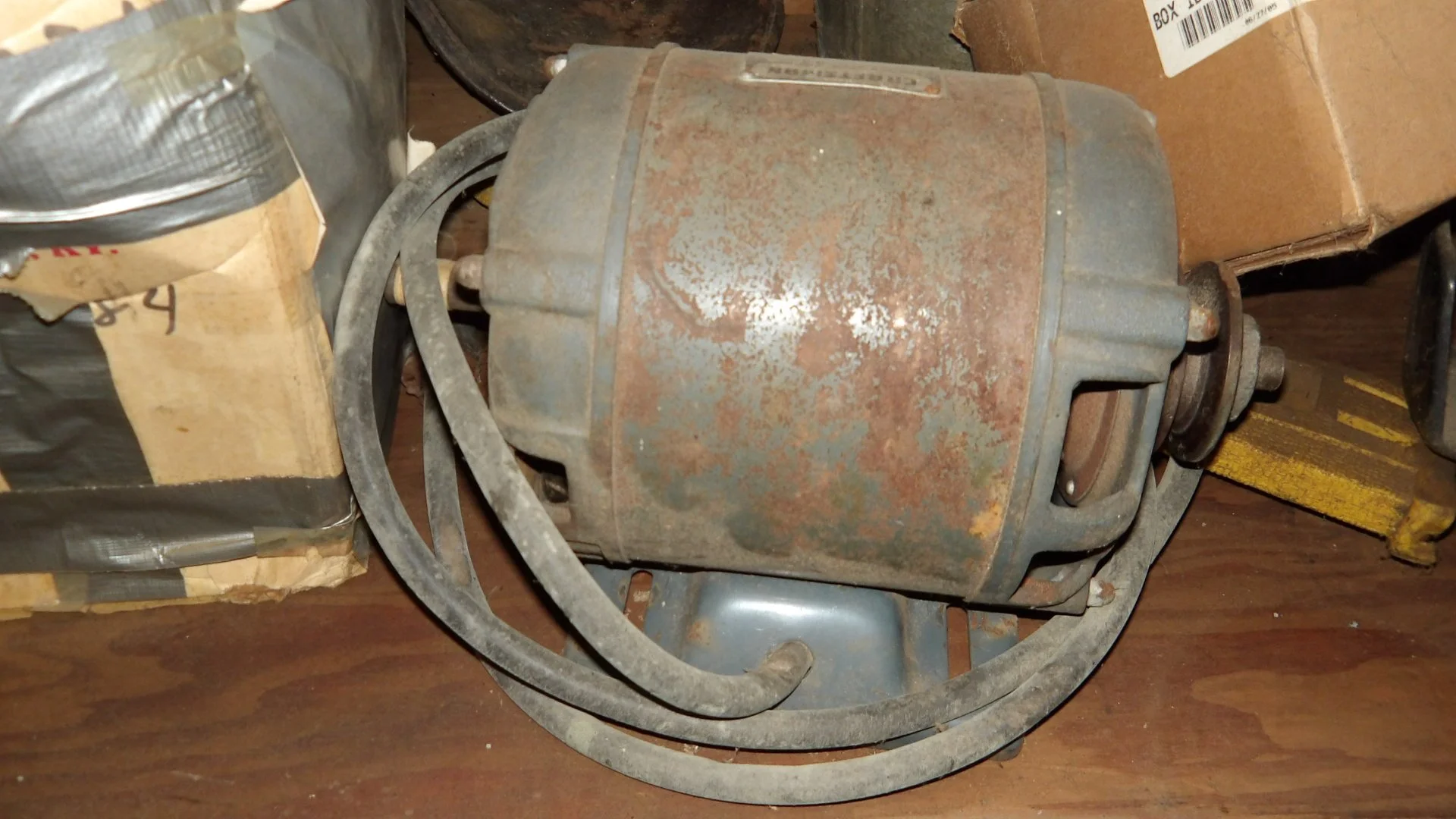 IMGP2175.JPG