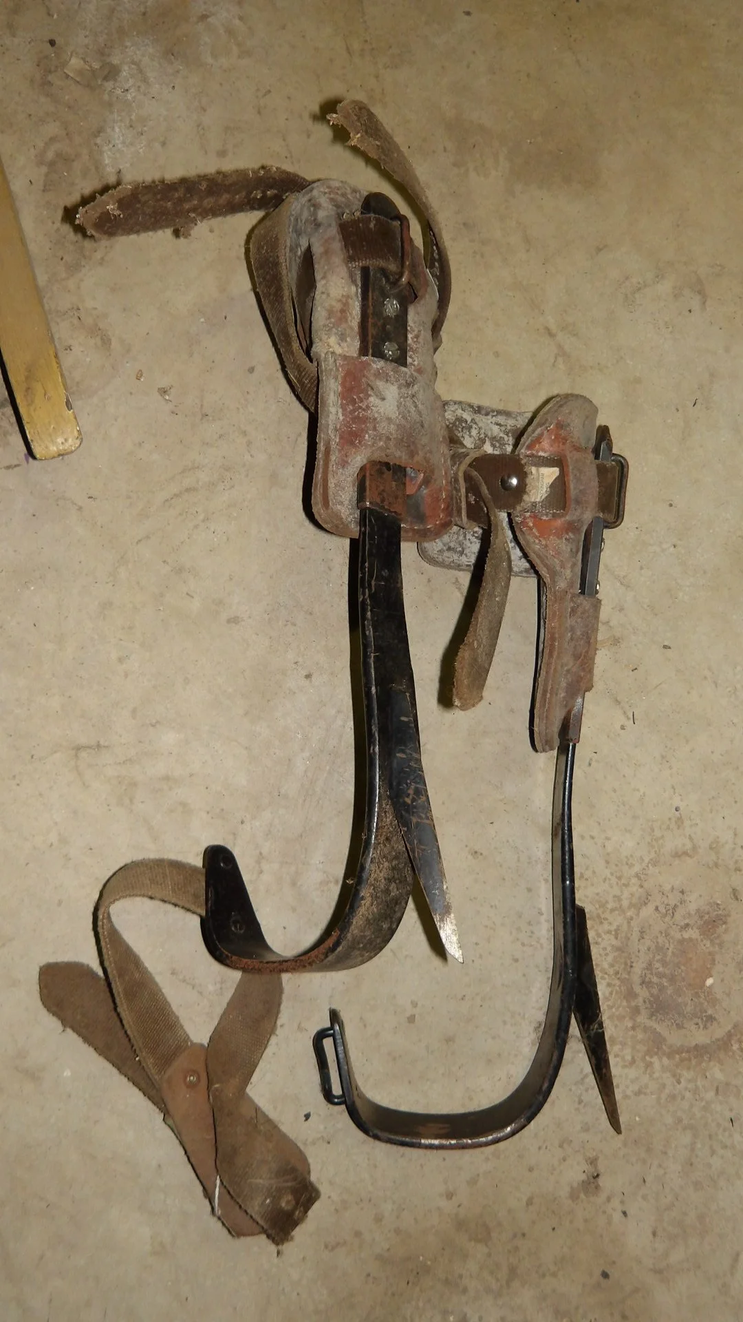 IMGP2196.JPG