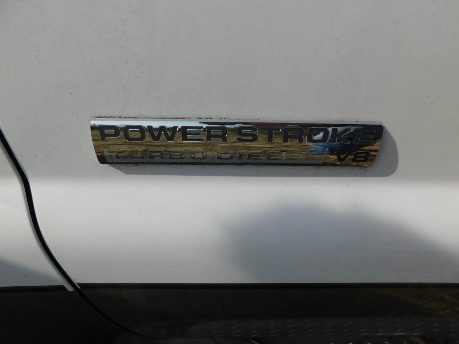 DSCN4040.JPG