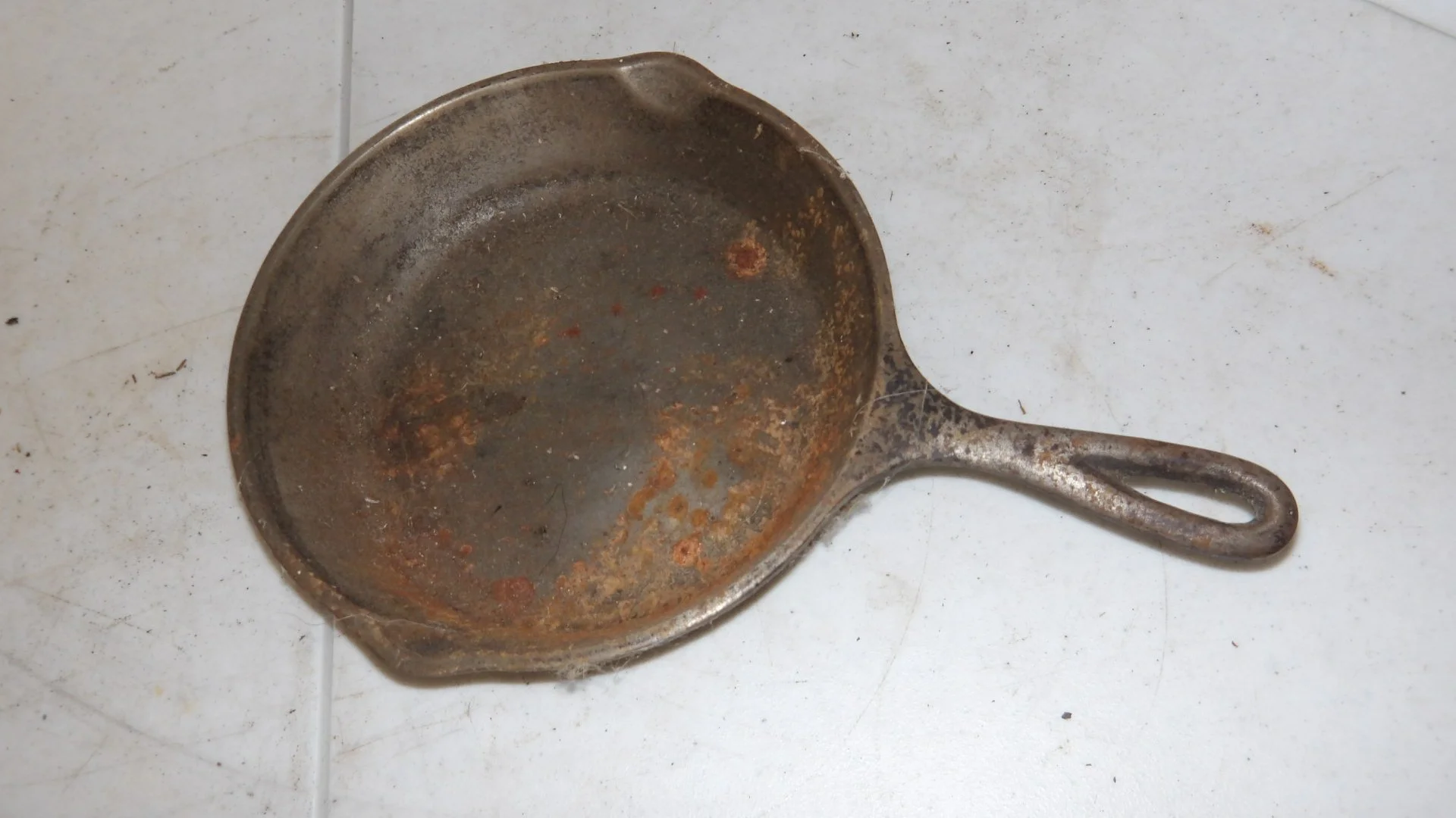 IMGP2229.JPG