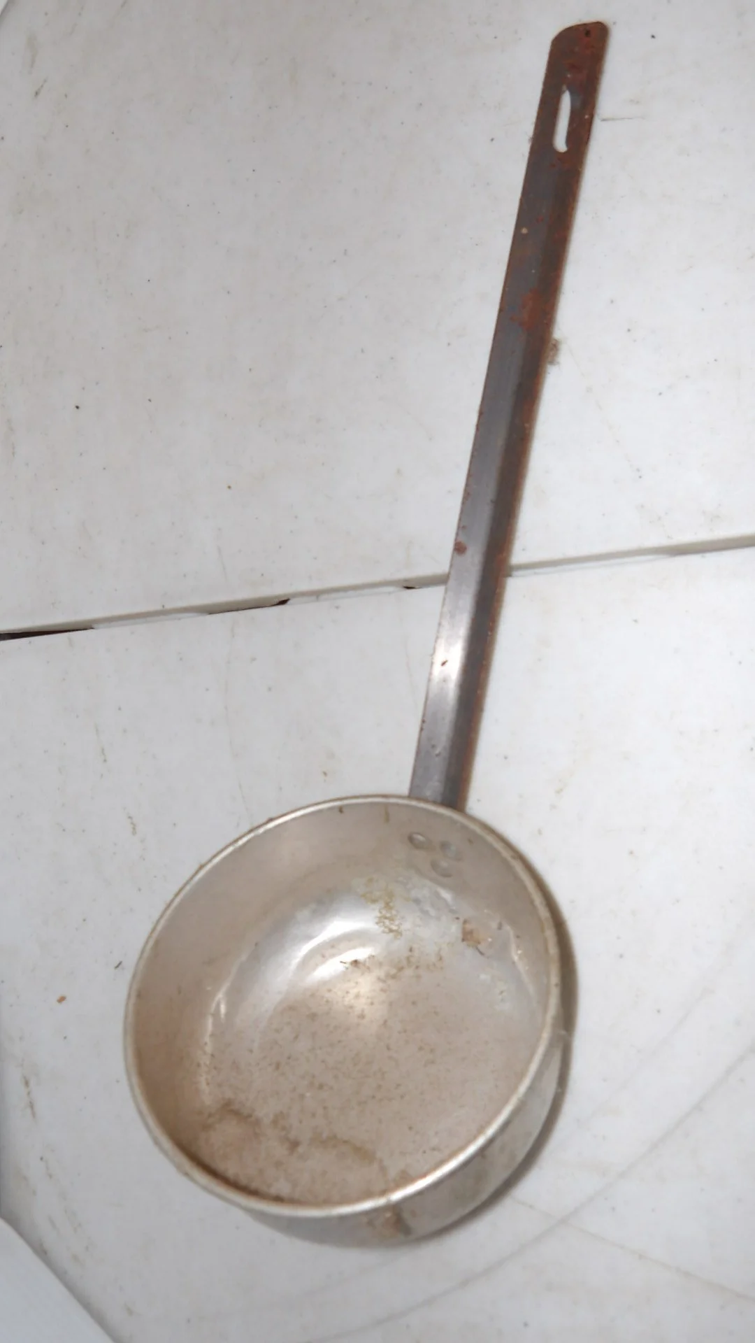 IMGP2242.JPG