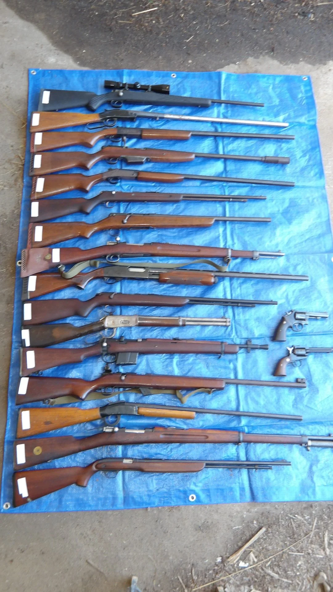 IMGP2269.JPG
