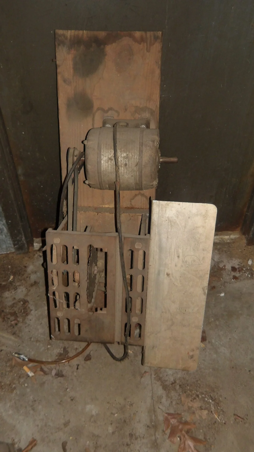 IMGP2512.JPG