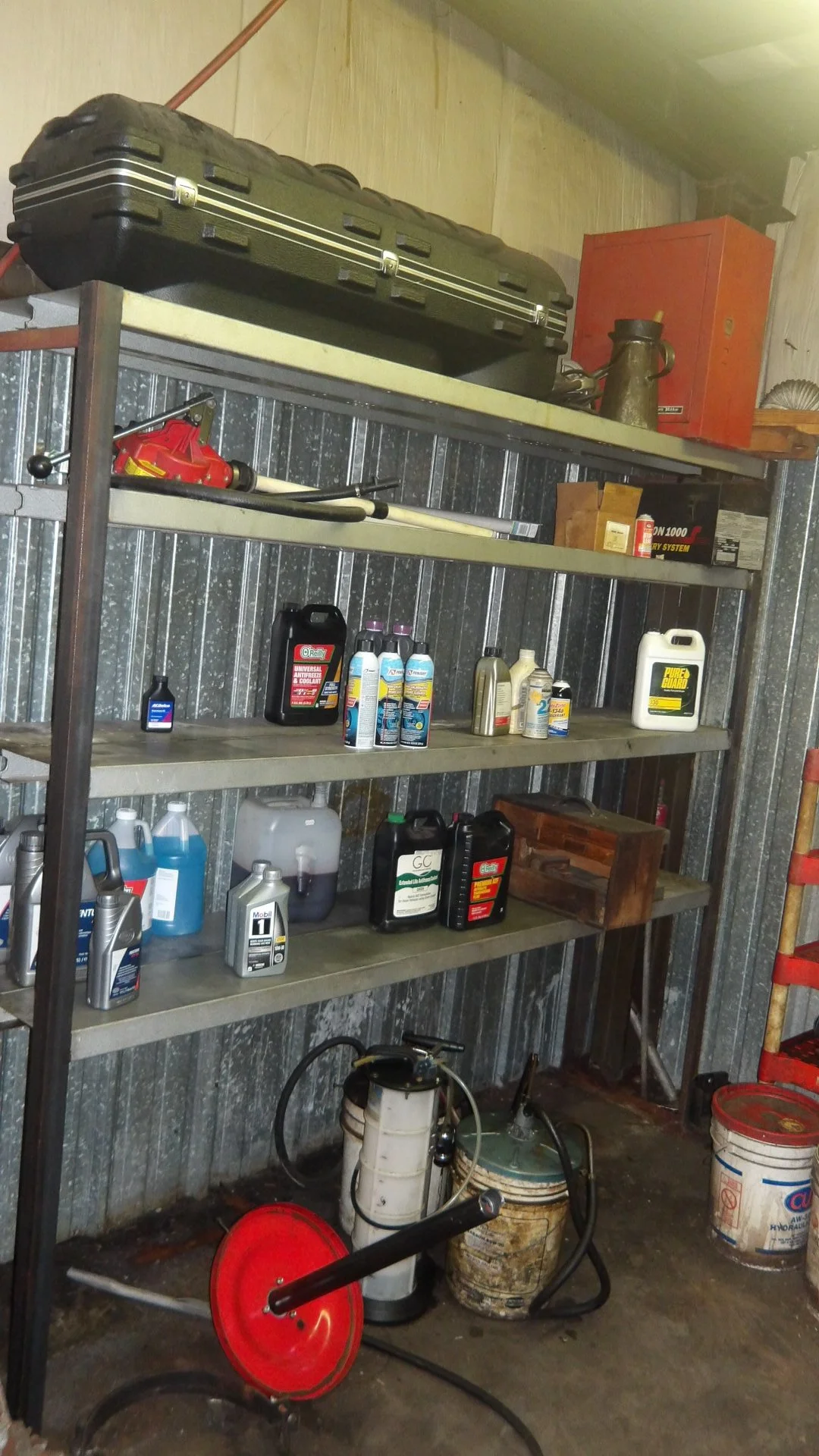 IMGP2544.JPG