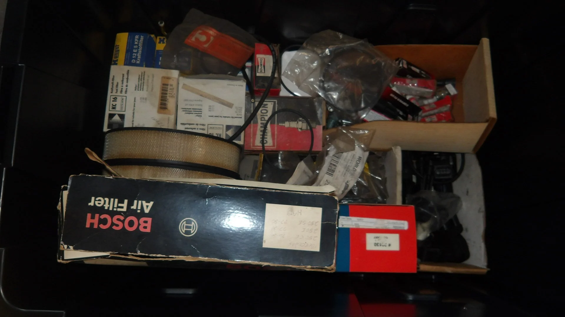 IMGP2600.JPG