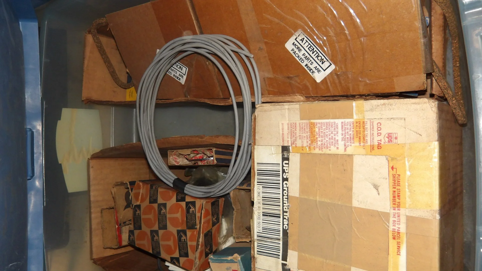IMGP2630.JPG