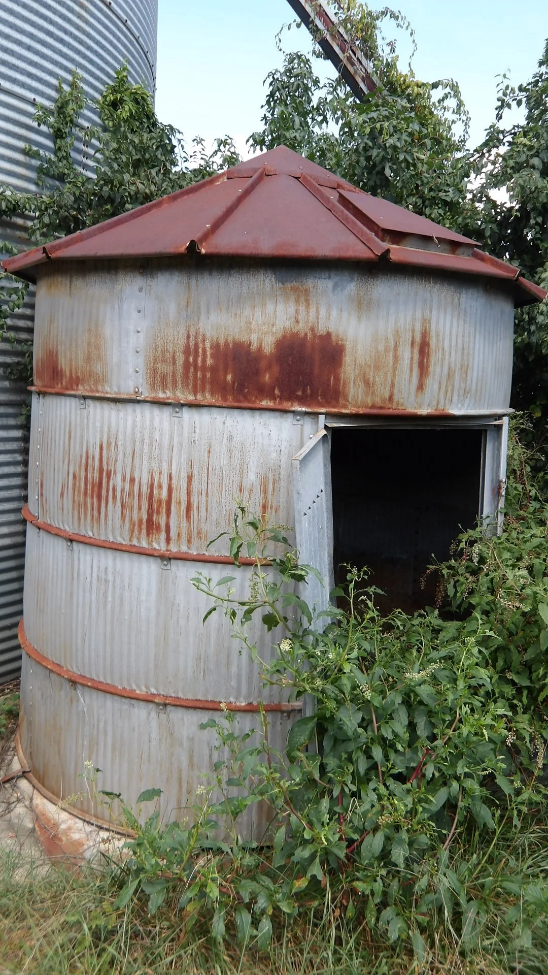 IMGP3239.JPG