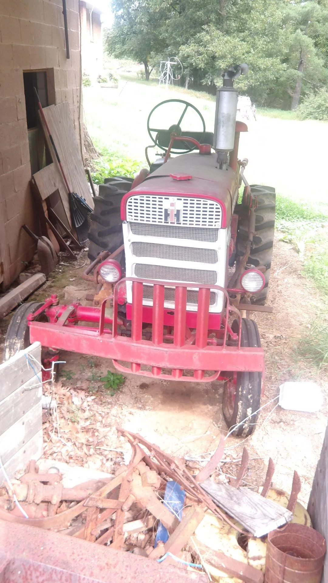 IMGP2943.JPG