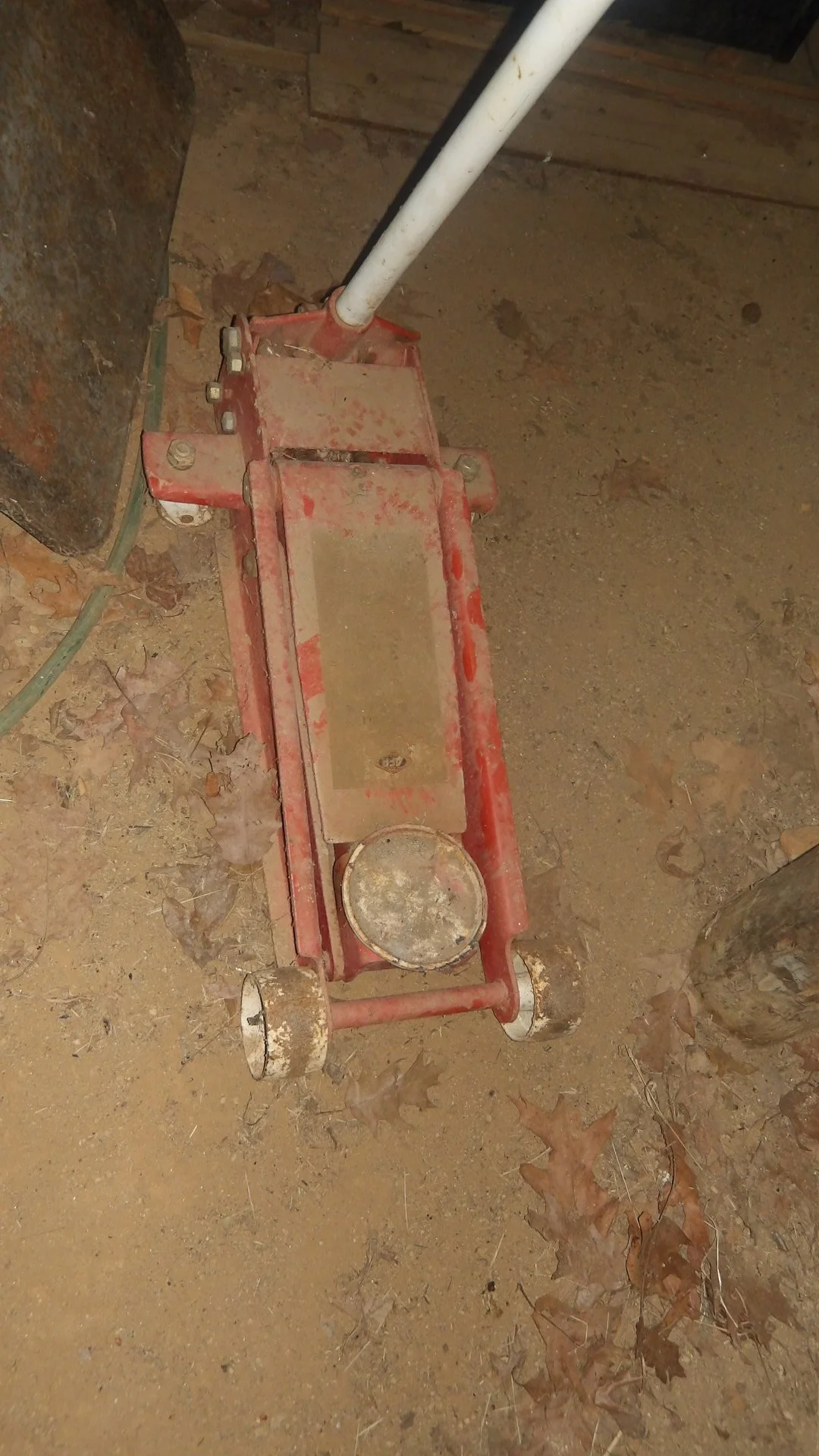 IMGP2980.JPG
