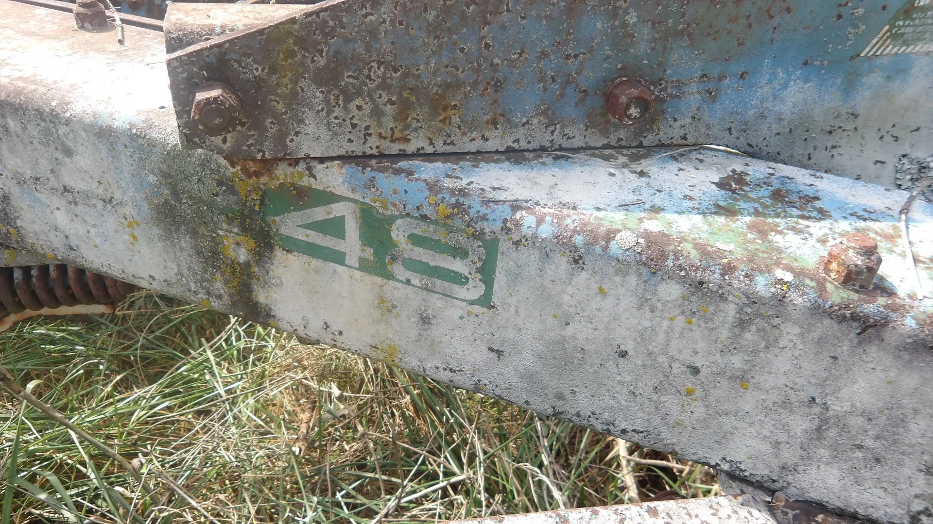IMGP3030.JPG