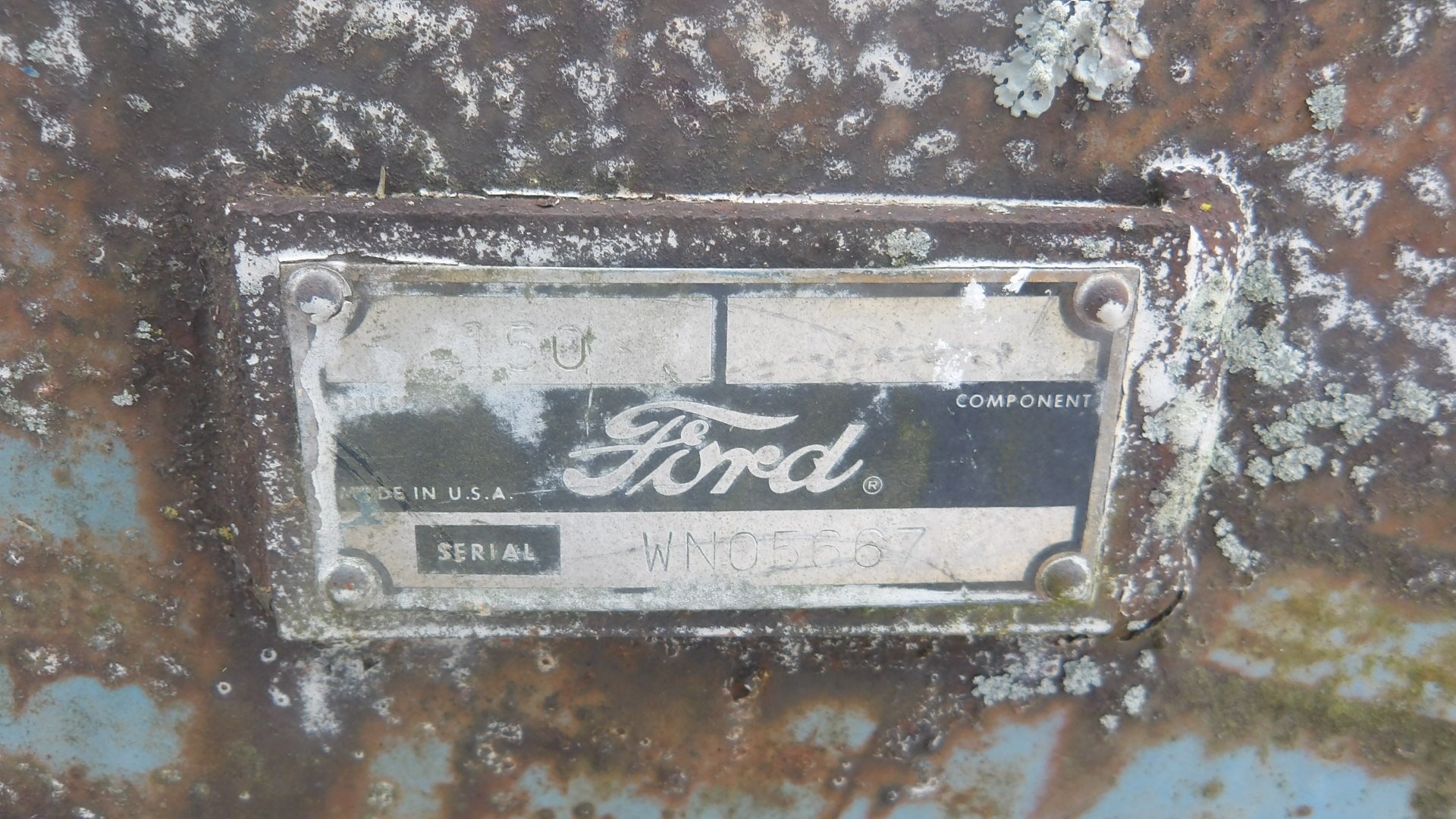 IMGP3031.JPG