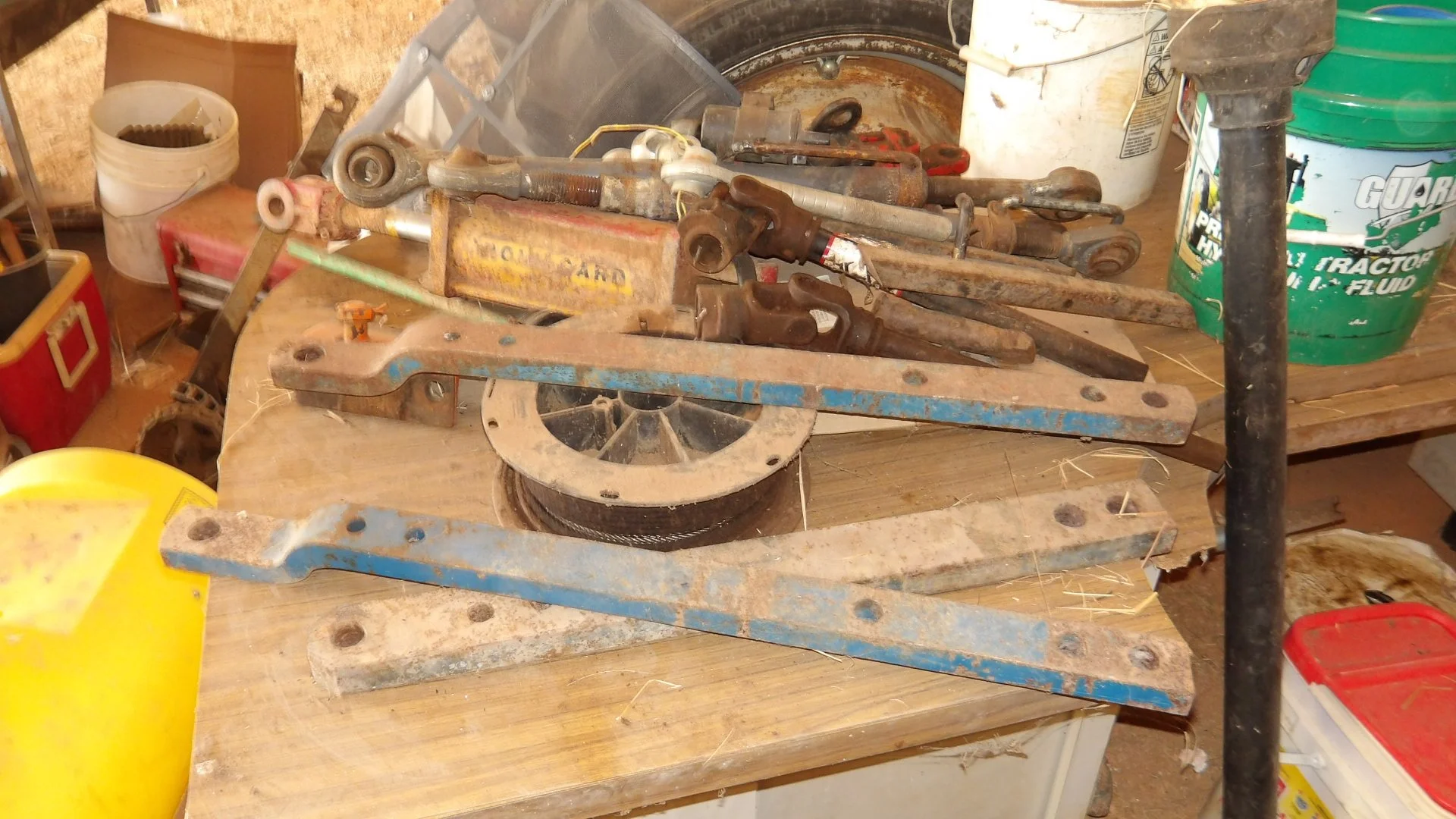 IMGP3115.JPG