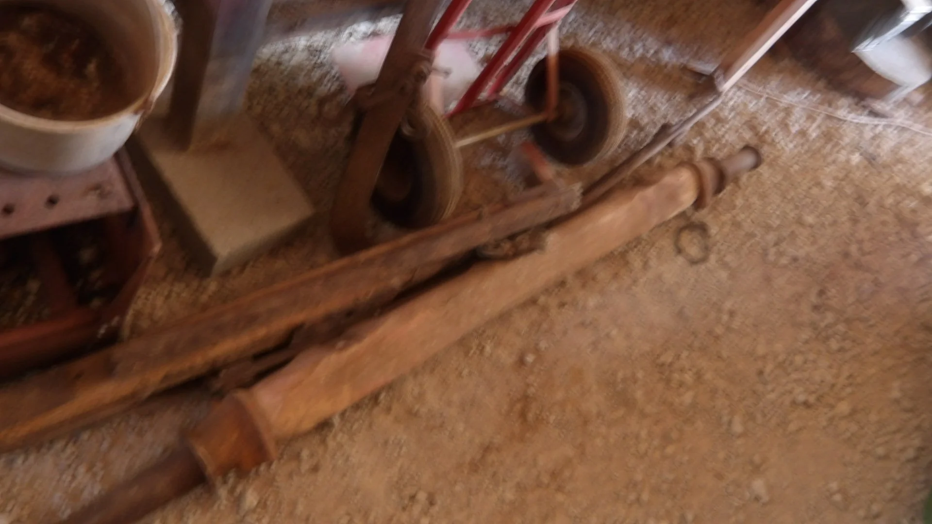IMGP3209.JPG