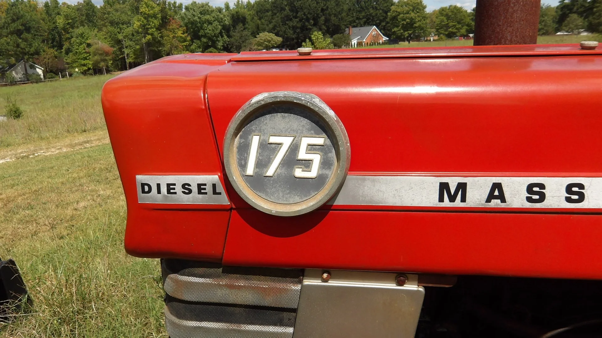 IMGP3223.JPG