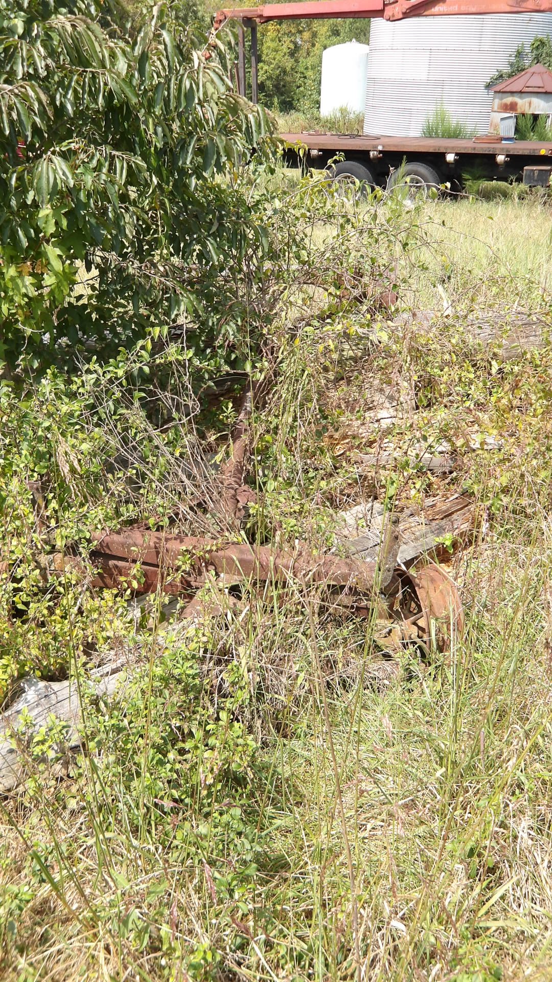 IMGP3264.JPG