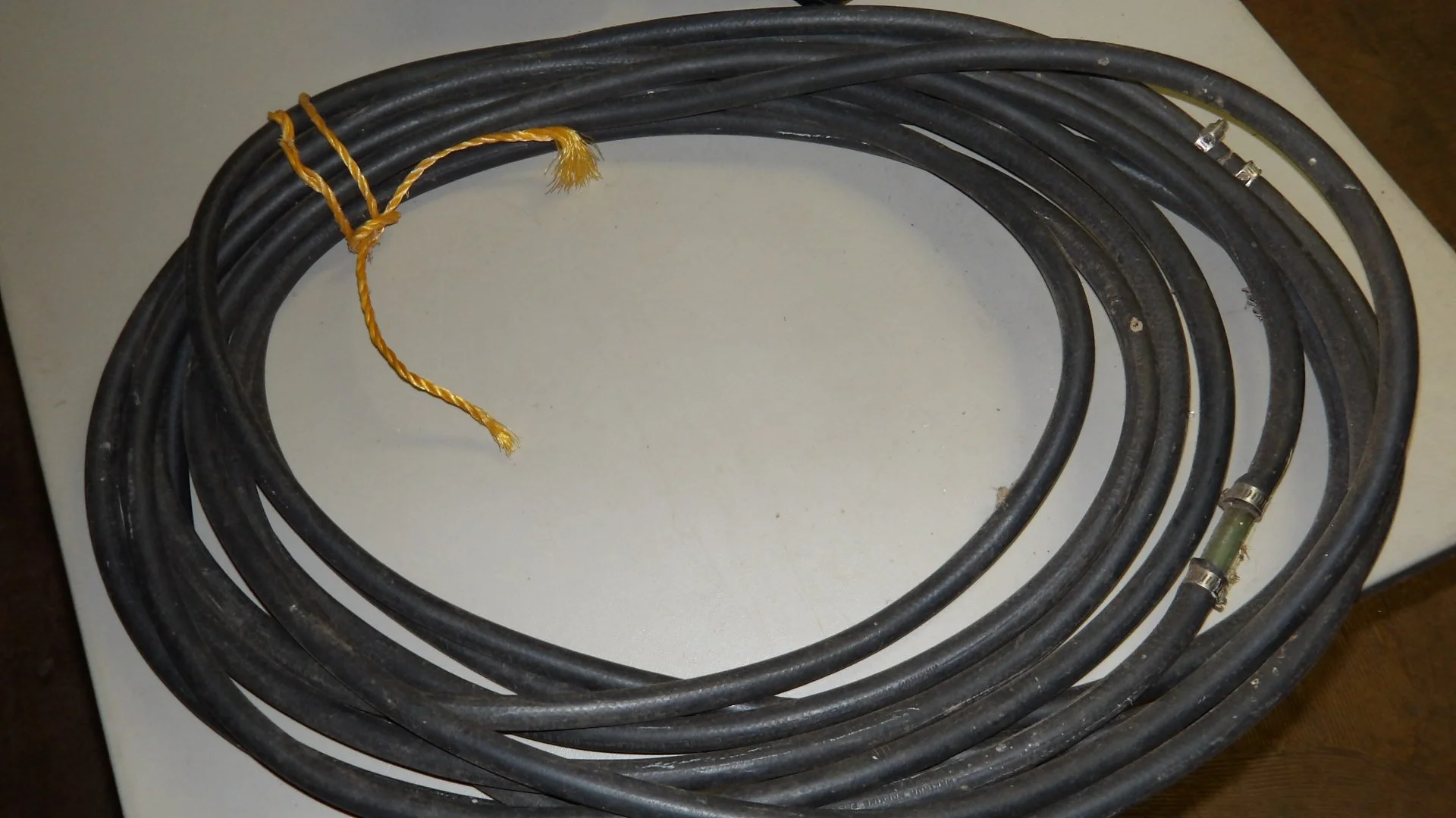 IMGP2925.JPG