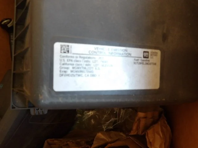 IMGP3444.JPG