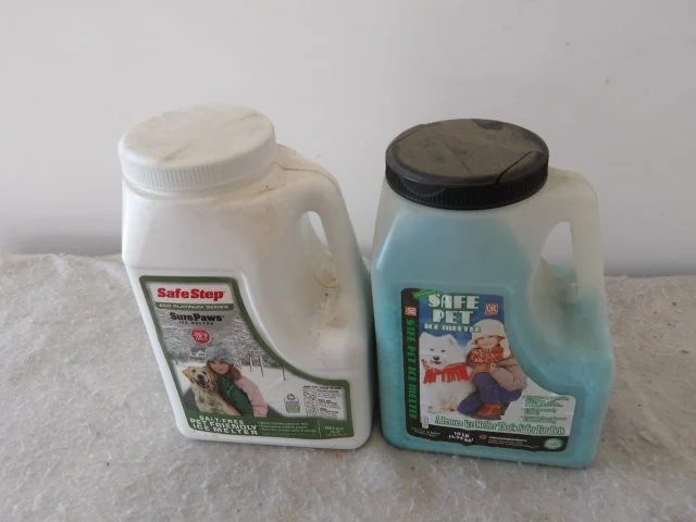 IMGP3493.JPG