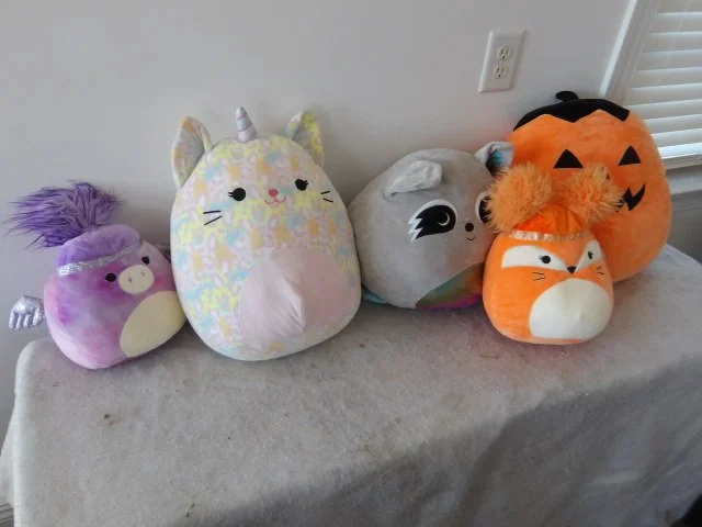 IMGP3536.JPG