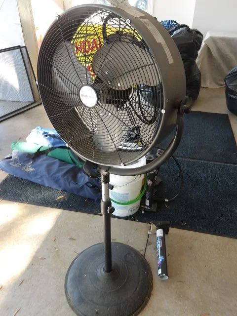 IMGP3537.JPG