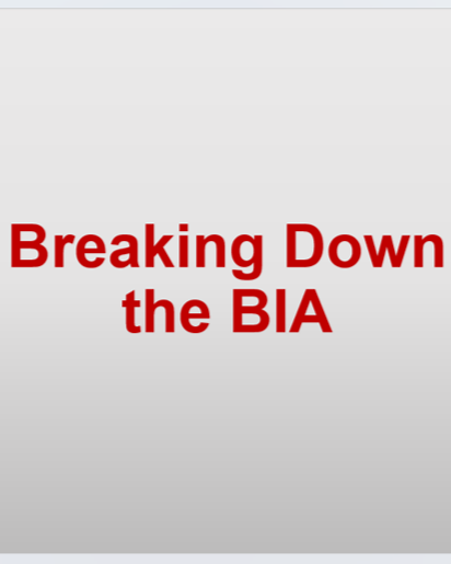 BIA_Breakdown_Pic.png