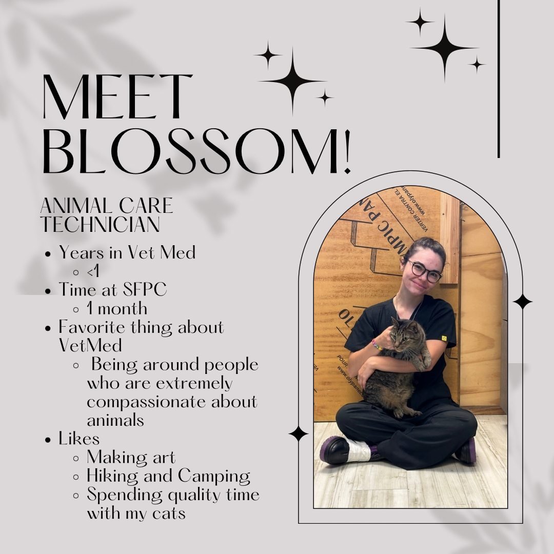 🎉🐾Introducing our Animal Care Technicians! The team caring for your pets while you are away. 🎉🐾

Join us in celebrating Blossom, our newest addition to the Stonebrook family! With her passion for animals and dedication to their well-being, she em