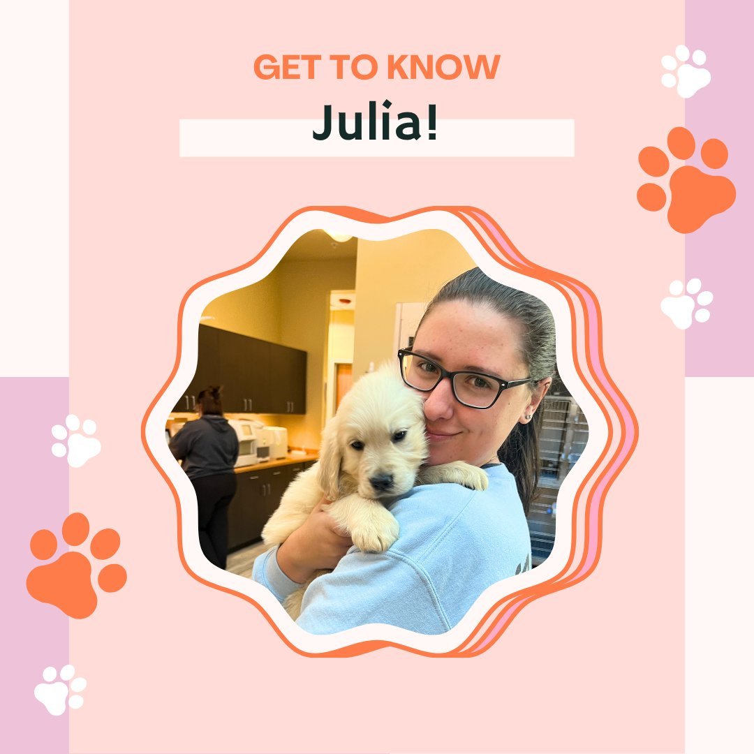🐾 Kennel Week Spotlight: Julia! 🐾

Julia wears many hats around here - boarding supervisor, front desk helper, treatment room rockstar&hellip; you name it, she does it! 🙌

She&rsquo;s currently working toward her LVT and has big dreams of becoming