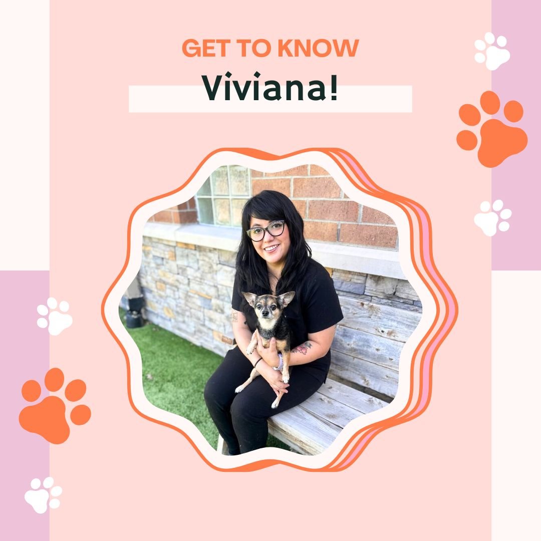 🐾 Kennel Week Spotlight: Viviana! 🐾

Viviana may be new to the veterinary world, but she&rsquo;s already made a big impact with her compassion, reliability, and calm presence. 💛🐕🐾

She&rsquo;s the kind of teammate you can always count on - and t