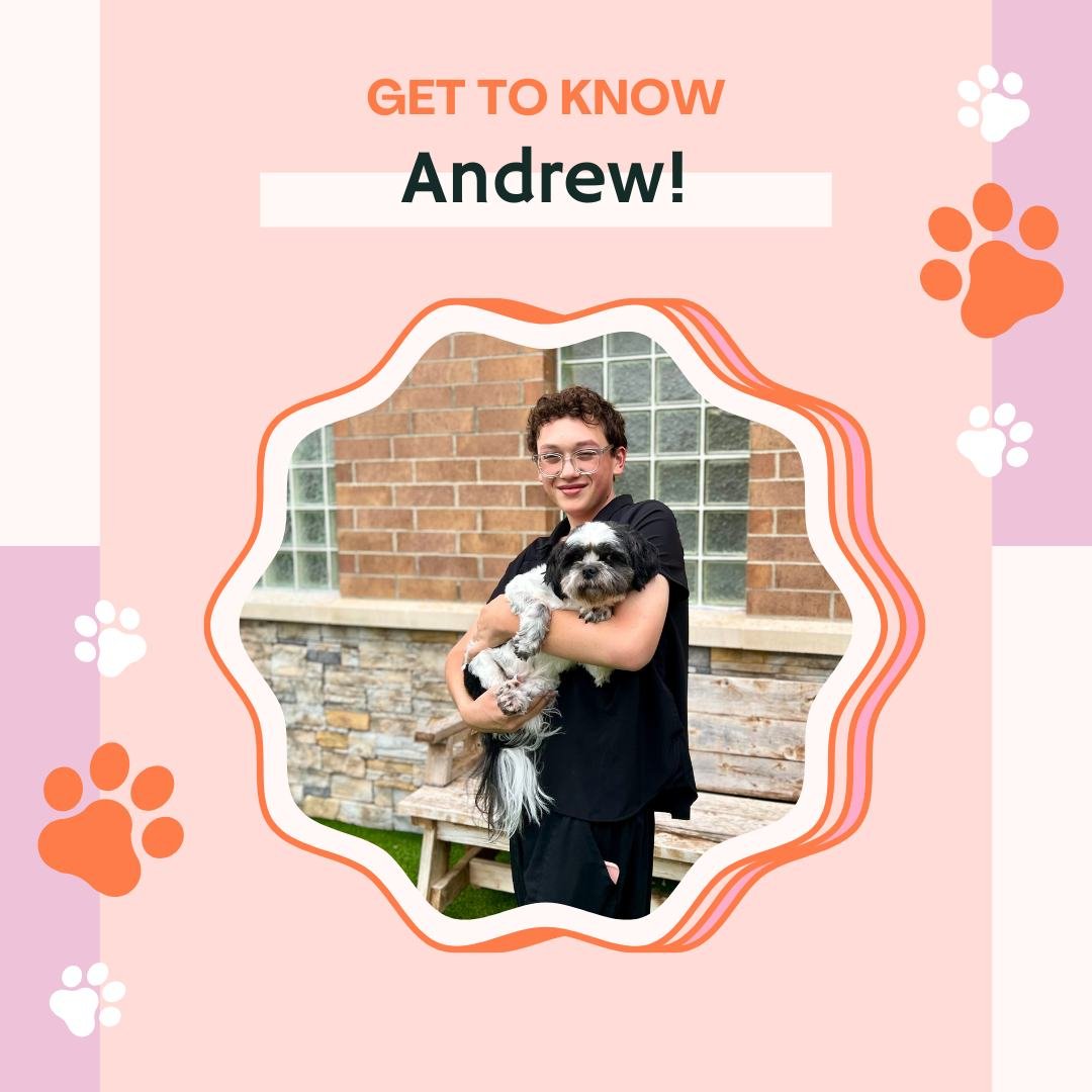 🐾 Kennel Week Spotlight: Andrew! 🐾

Andrew may be the newest face on our team, but he&rsquo;s already made a big impact! His positive attitude, easygoing nature, and willingness to learn make him a joy to be around - for both pets and people alike.