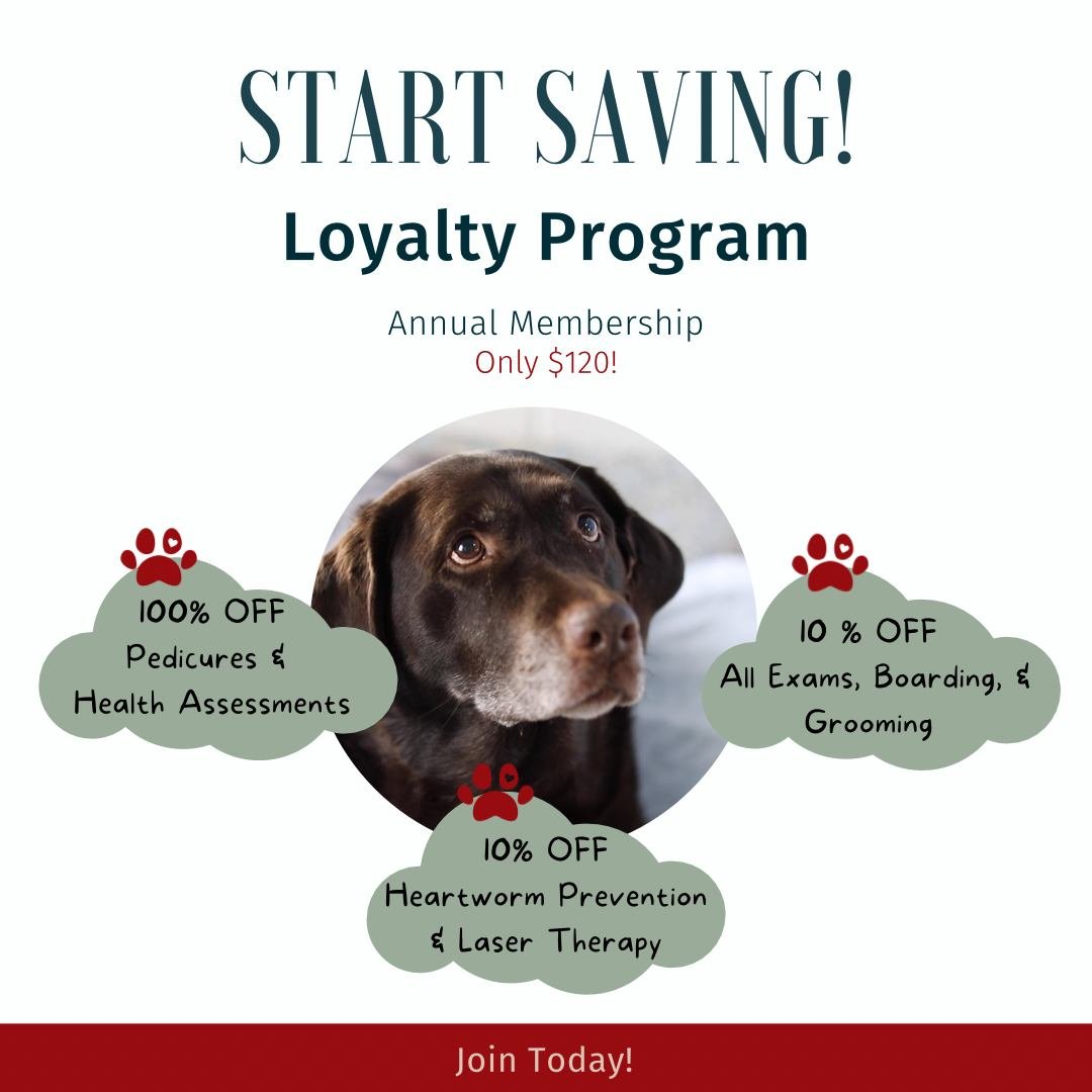 Join our Loyalty Program today and start saving on the services your pet loves most!

Enjoy exclusive discounts on exams, nail trims, grooming, boarding, and so much more. It&rsquo;s our way of saying thank you for being part of our pet-loving commun