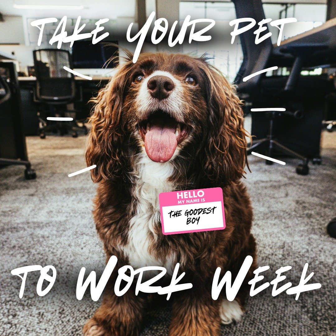 The best co-worker? Your pet, of course! 🐾🐕 Take your furry friend to work and let them help you with the day's tasks. Who says productivity can&rsquo;t be cute? 🐶💼