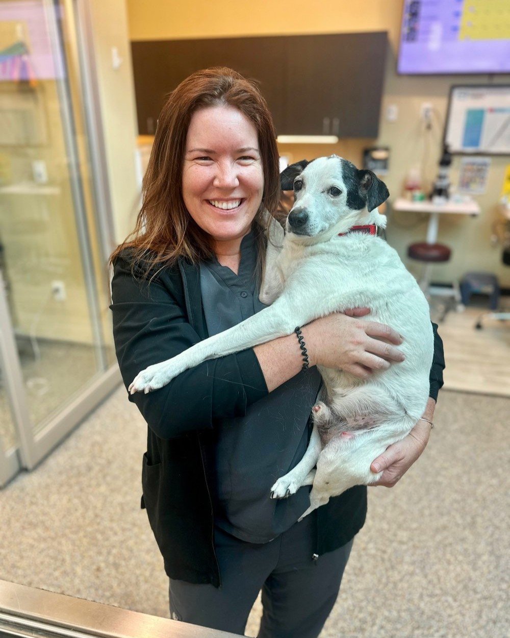 🐾 Meet Dr. Megan Dunn! 🐾⠀
⠀
From helping stray animals as a kid to healing beloved pets today, Dr. Dunn has always had a heart for veterinary medicine. 💛 After working in her first hospital, she knew being a vet was exactly where she was meant to 