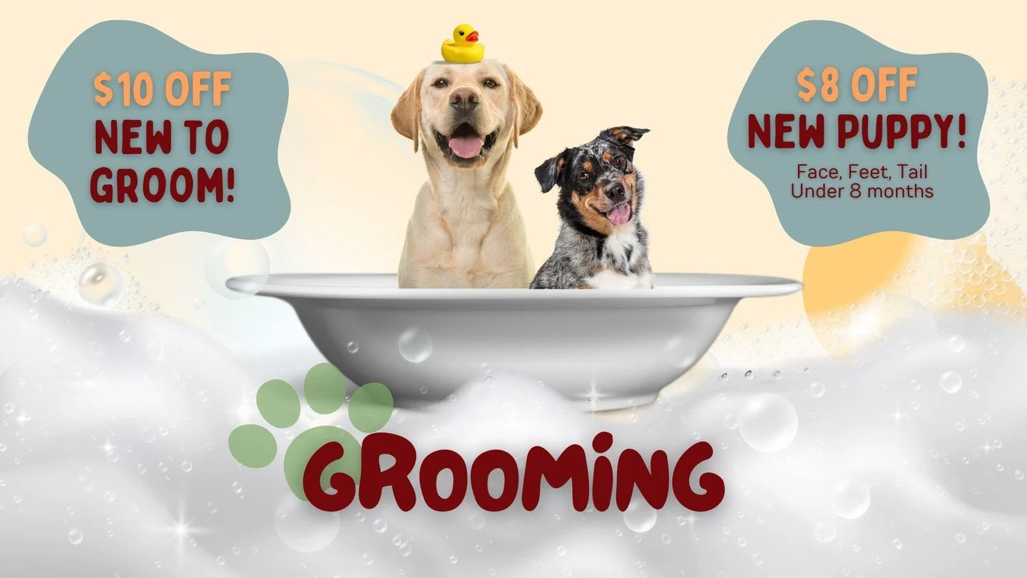 ✨ First-Time Grooming Special! ✨
 Treat your pup to a spa day they deserve! 🐾

Give us a call today to schedule your dog&rsquo;s first grooming appointment and let them shine. 💛

📞 Call us now at (972) 712-3200 to schedule your pup!
