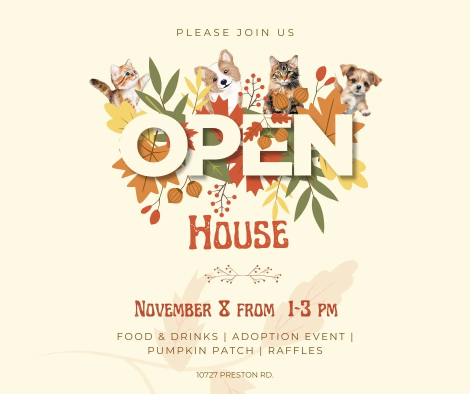 🍂 Save The Date 🍂