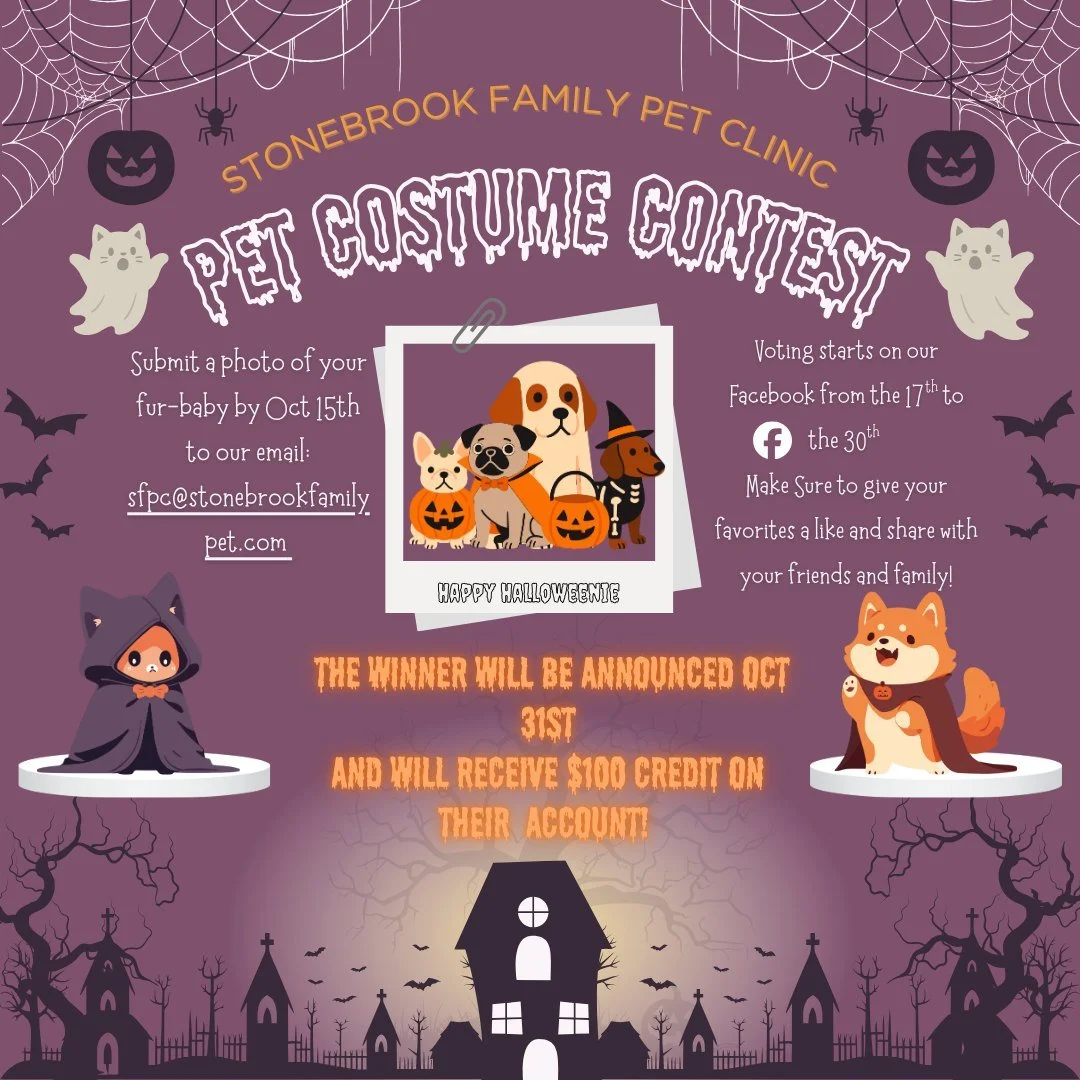 🎃👻 Show us your spooky (or silly!) side!⠀
Email your pet&rsquo;s costume photo to [your email] by Oct 15.⠀
Voting runs Oct 17&ndash;30, and the winner (announced Oct 31) gets a $100 credit! 💸🐾⠀
Let&rsquo;s see those costumes! 🐶🐱✨