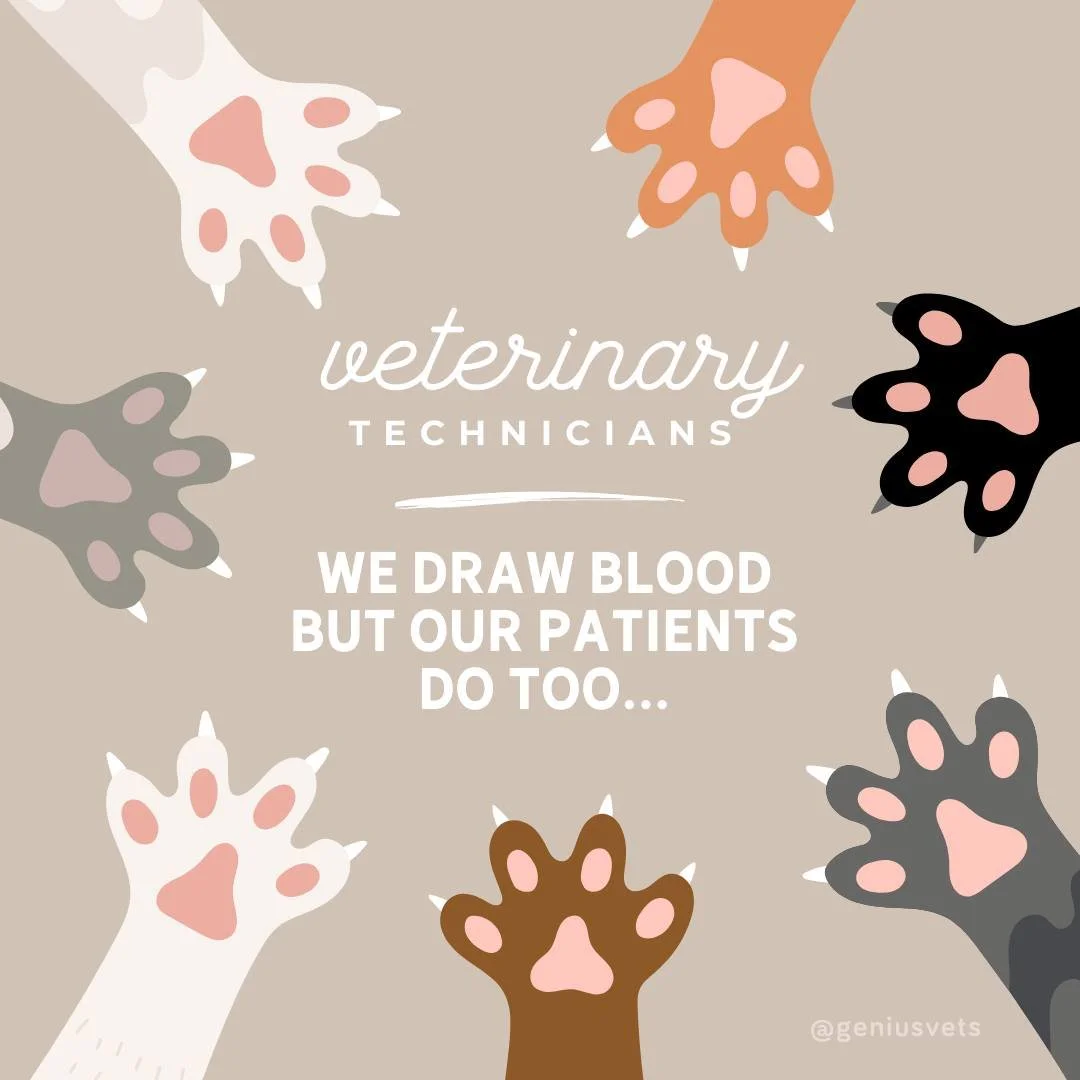 It's National Veterinary Technician Week, an annual observance dedicated to recognizing the invaluable contributions of veterinary technicians. Our vet techs skillfully handle tasks from drawing blood to managing patient care, all while working close
