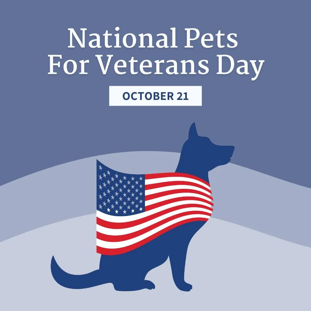 Pets provide more than just companionship&mdash;they offer healing and support for our veterans. 🐾 On National Pets for Veterans Day, we honor all the ways pets can make a difference in a veteran's life by providing companionship and helping to redu