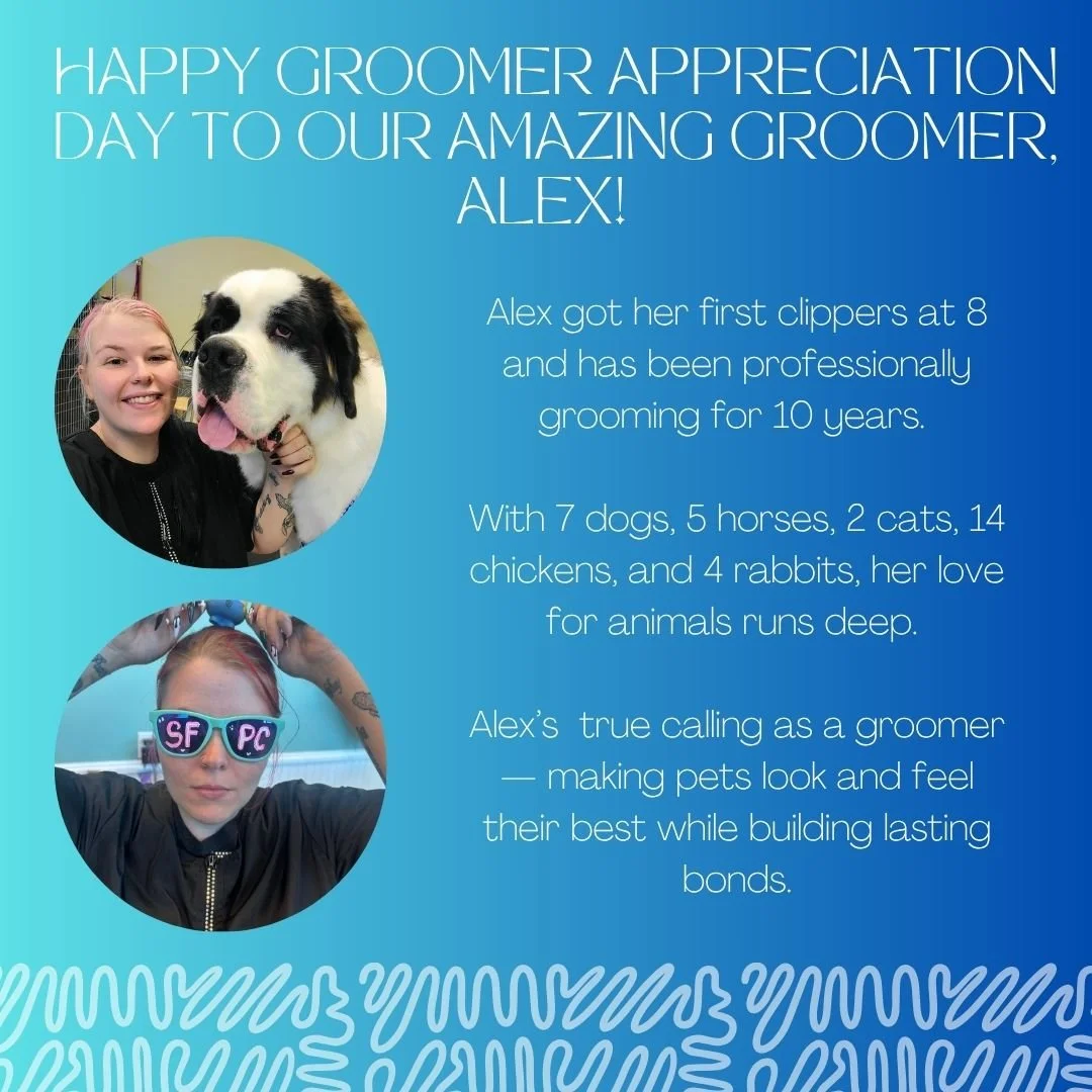 🐾✂️ Today we celebrate Alex, our amazing SFPC dog groomer, who keeps our pups looking and feeling their best! Her care, patience, and love make such a difference every day. 💕

Happy International Groomer Appreciation Day! 🐶💇&zwj;♀️